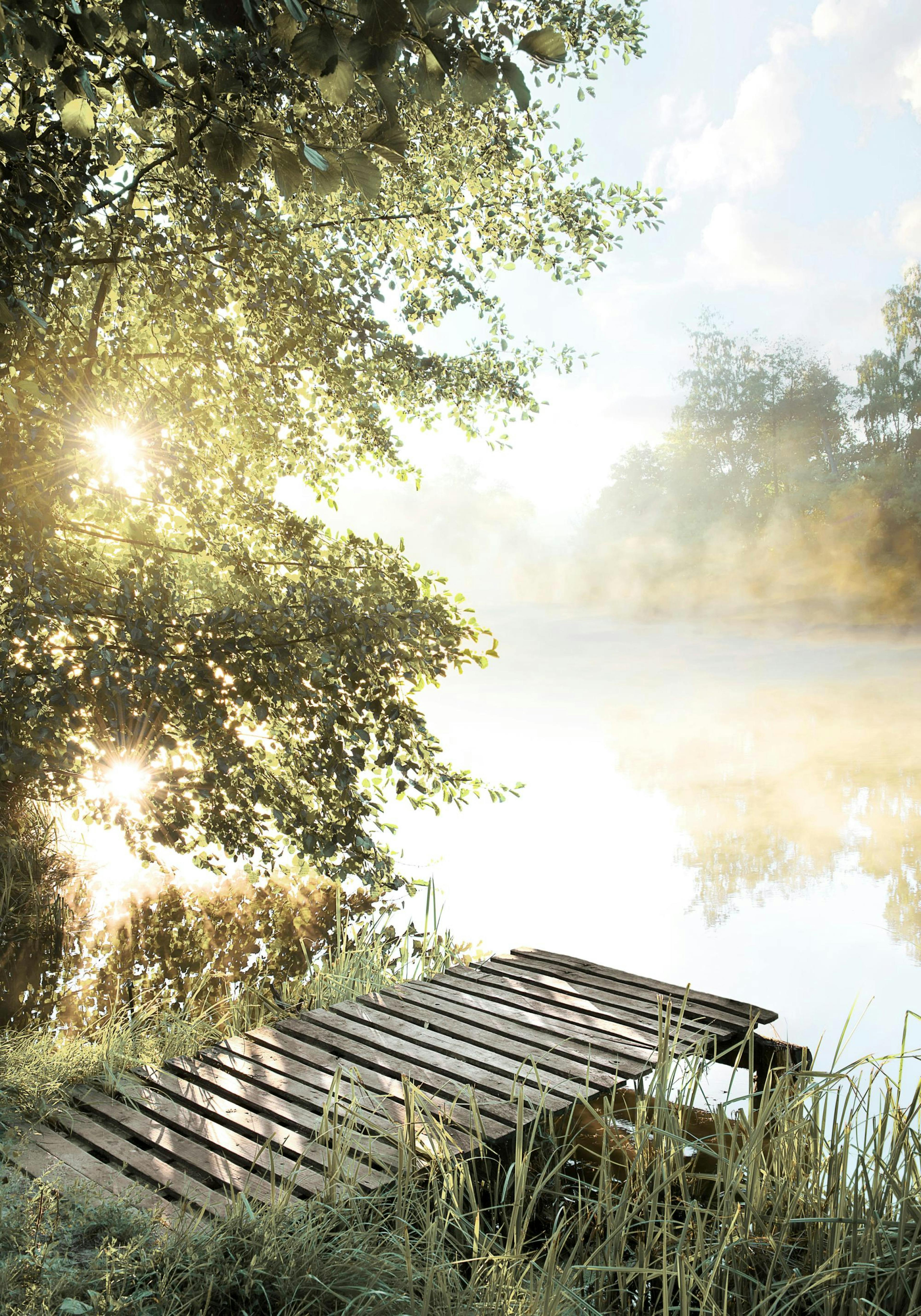 Foggy Summer Lake Poster thumbnail