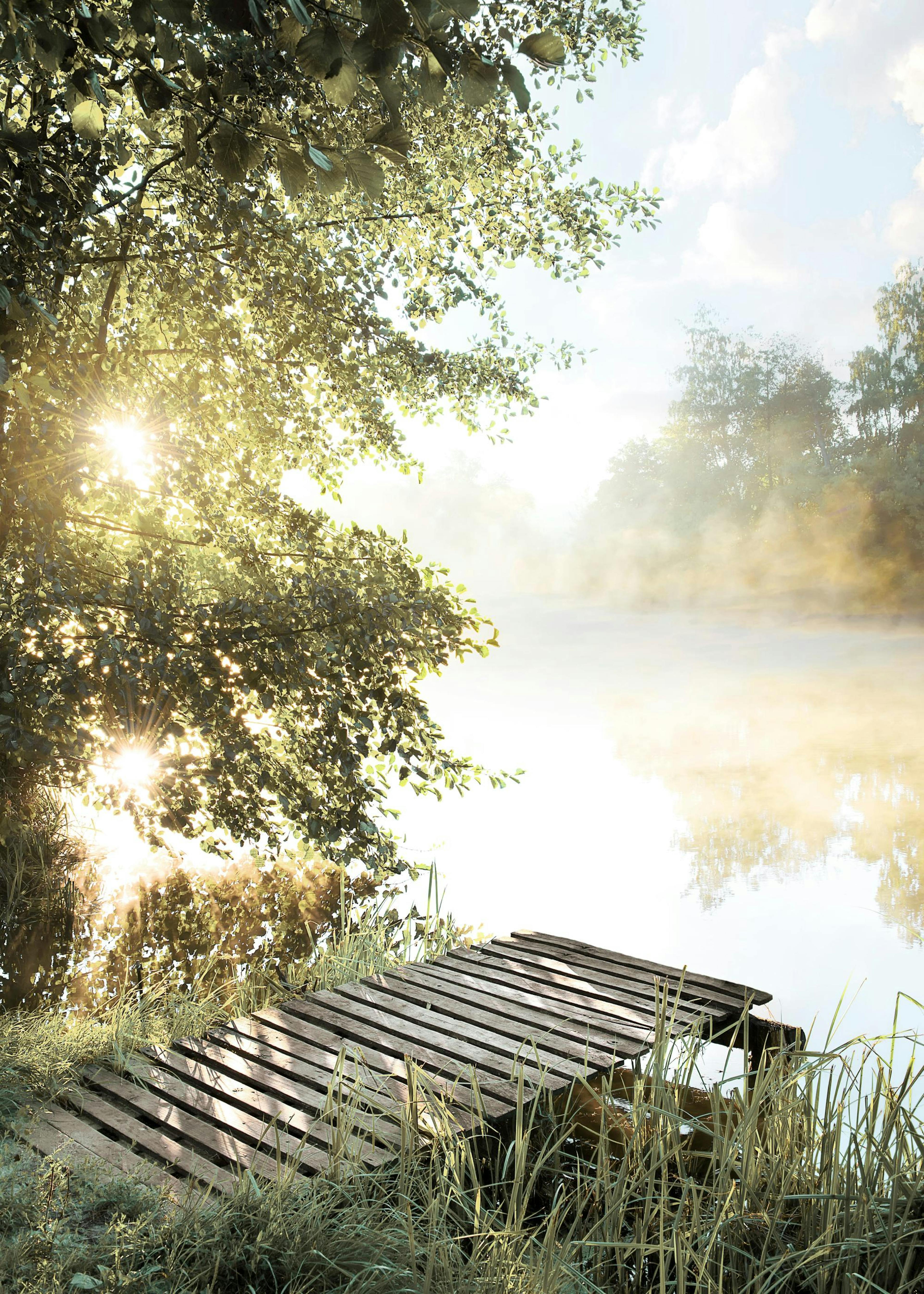 Foggy Summer Lake Poster 0