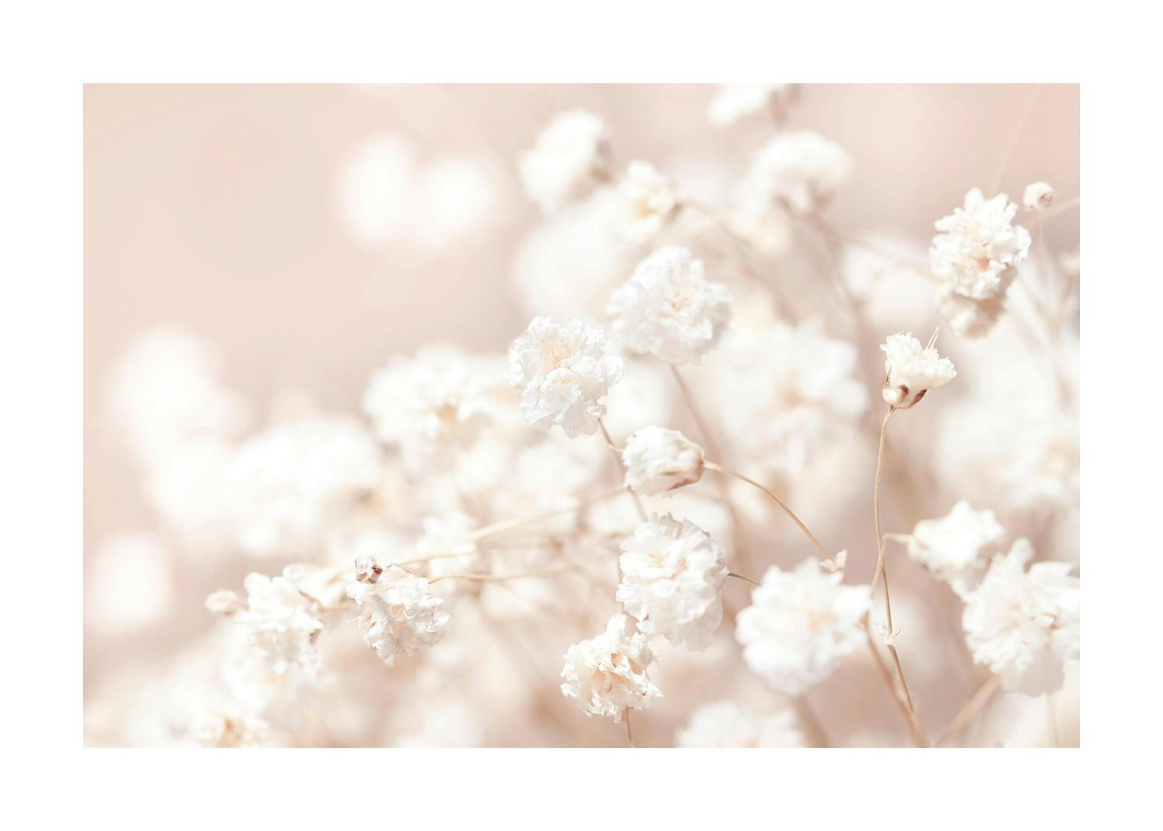 Kleine getrocknete Blumen Poster 0