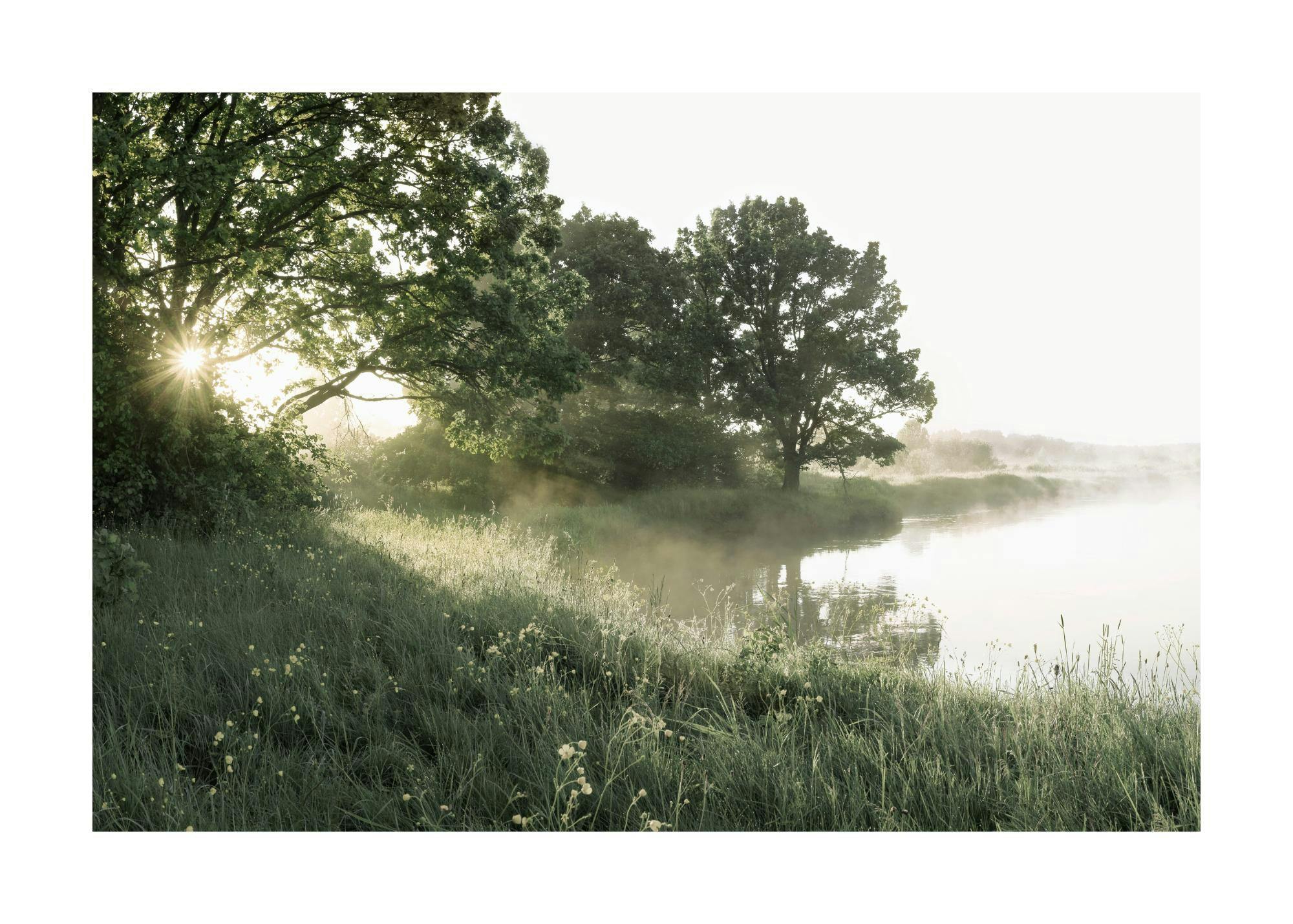 Poster Lac brumeux matin d'été 0