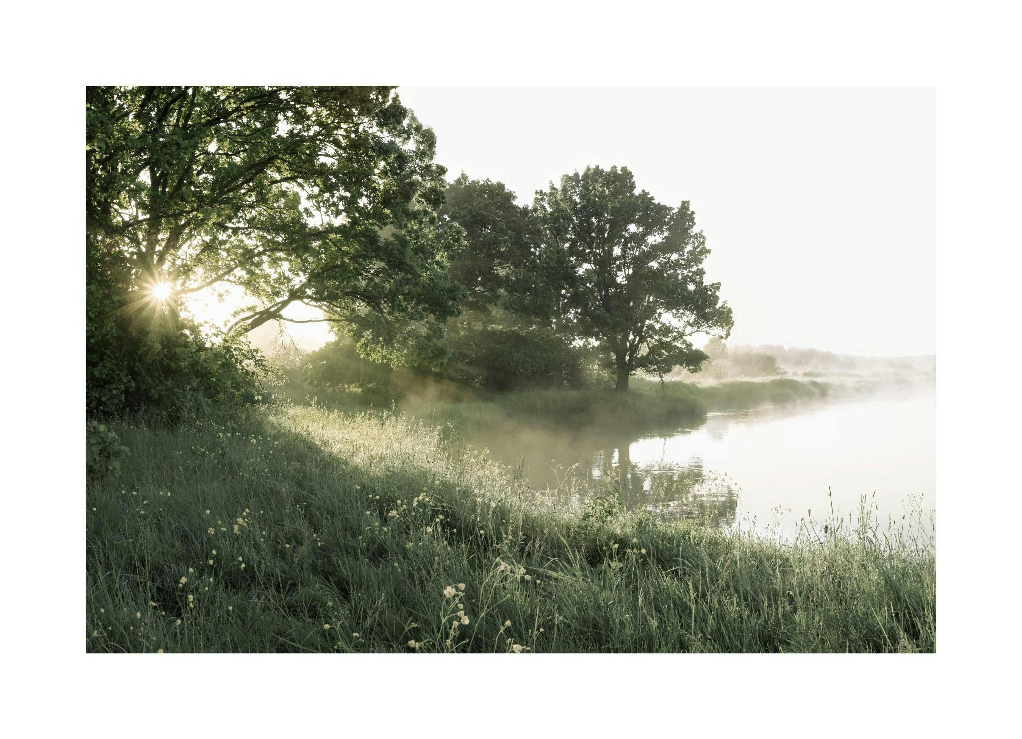 Dimmig Sjö Poster (50x70 cm) - Poster Store