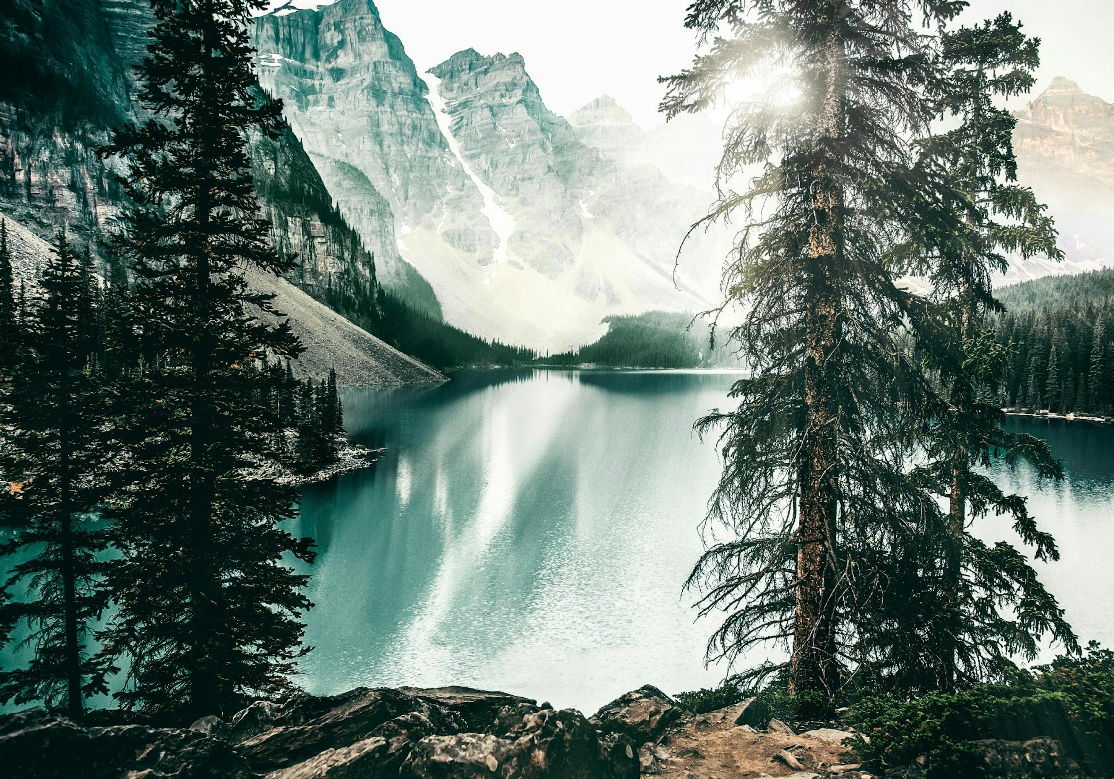 Forest Lake Poster thumbnail