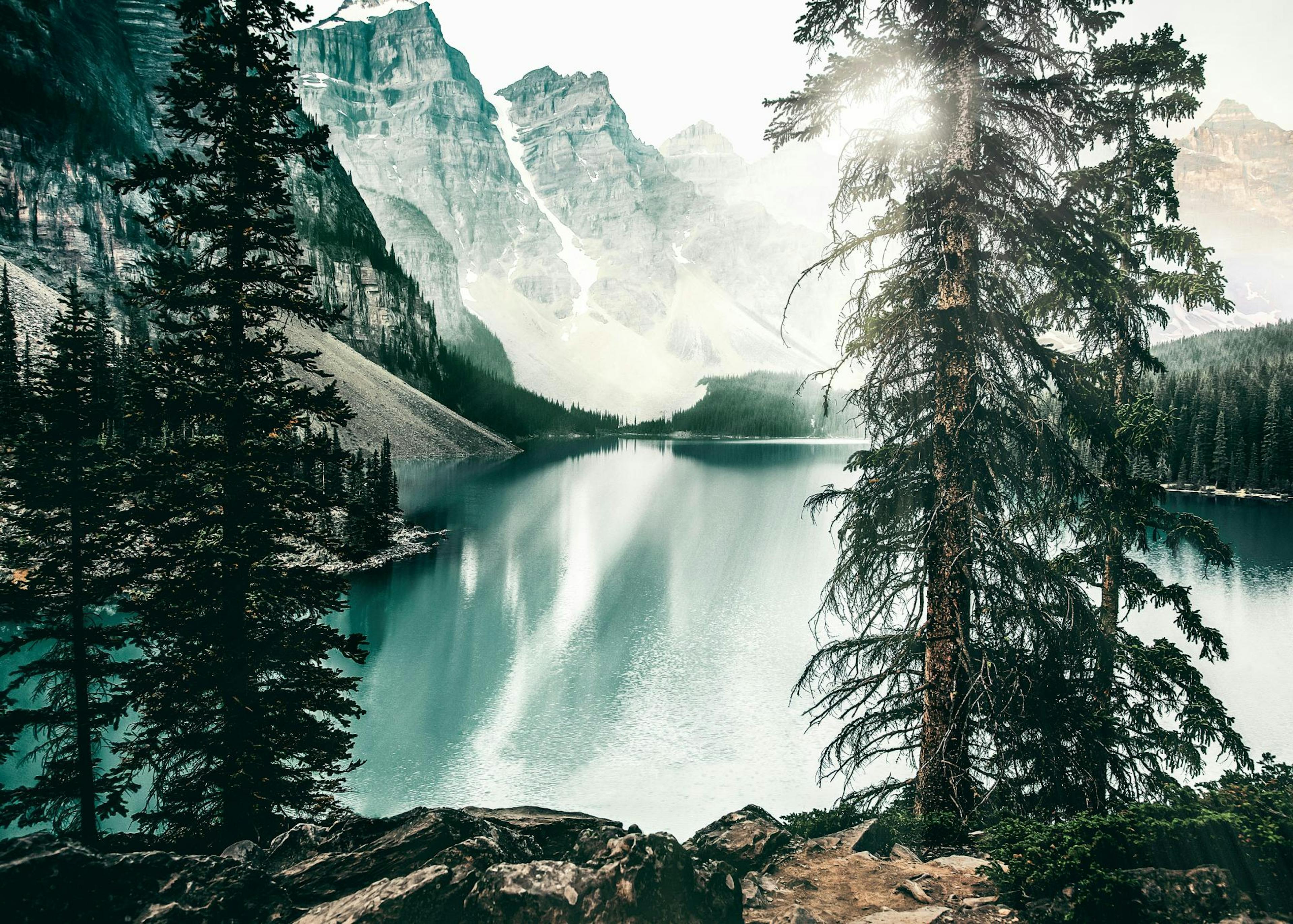 Forest Lake Poster 0