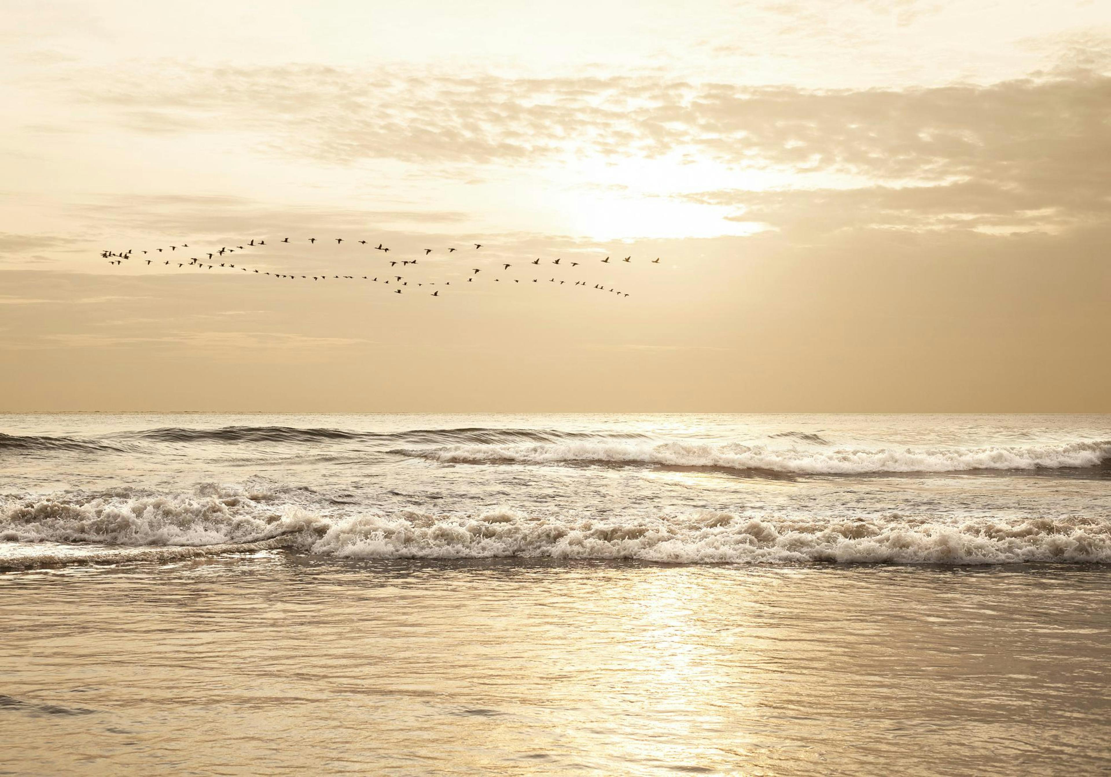 Tramonto Dorato sul Mare Poster thumbnail