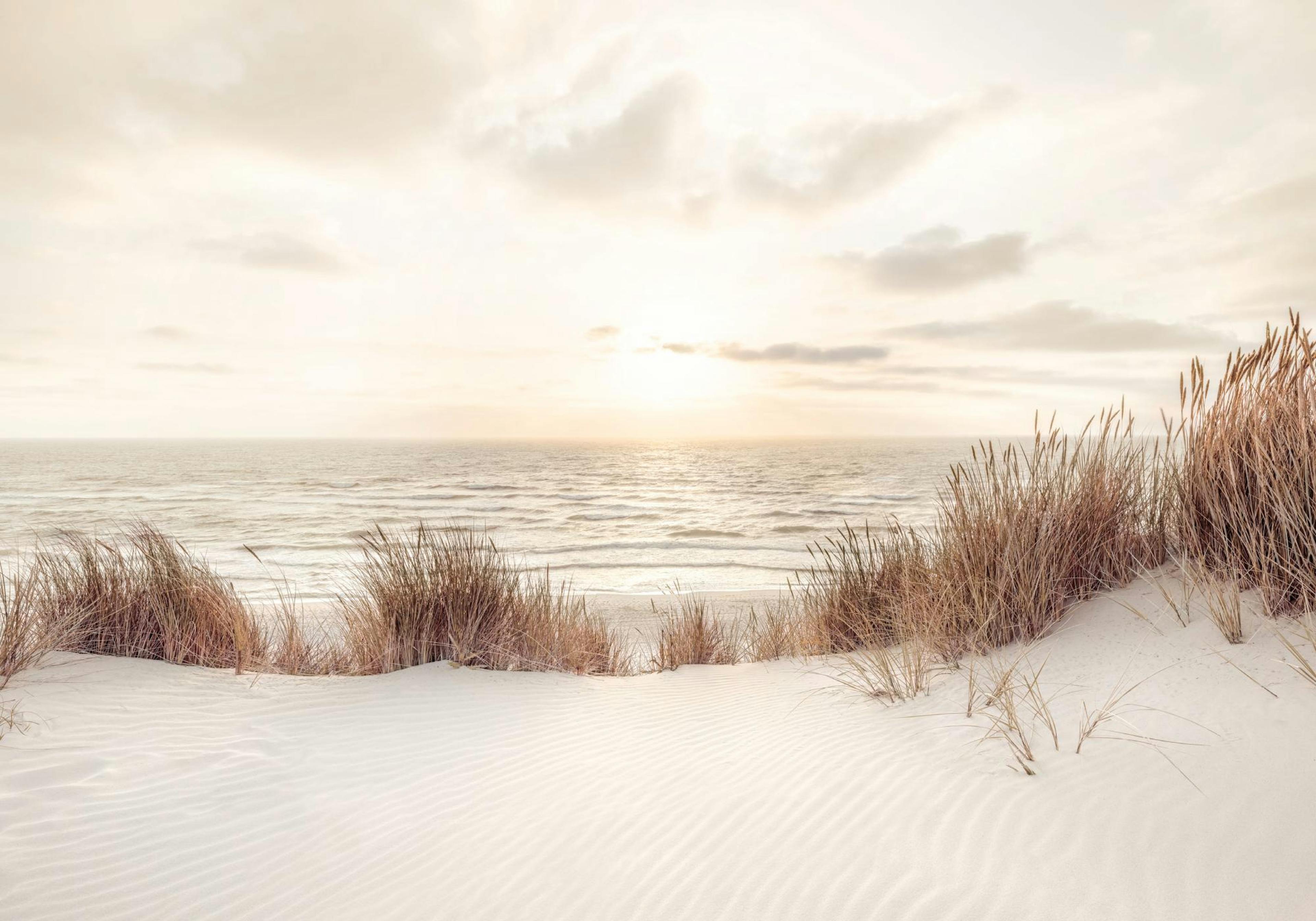 Sunset at Dune Beach Poster thumbnail