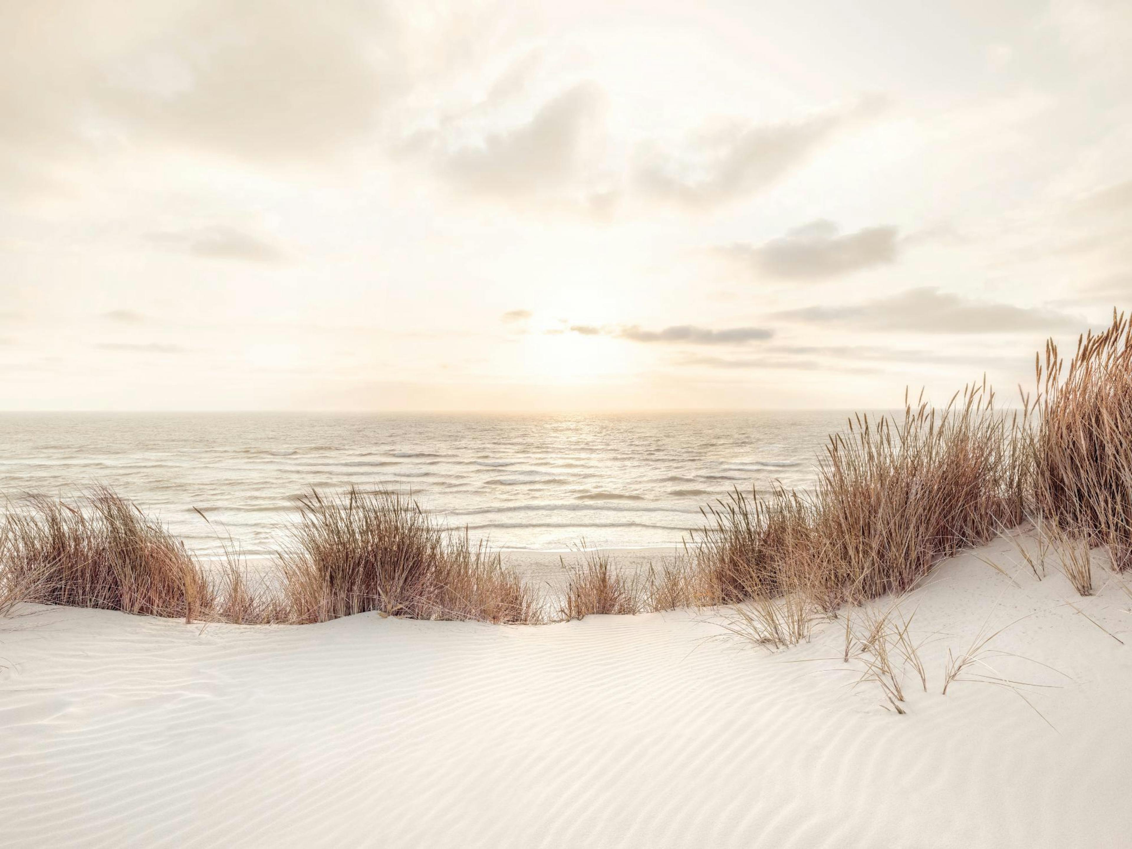Sunset at Dune Beach Poster 0