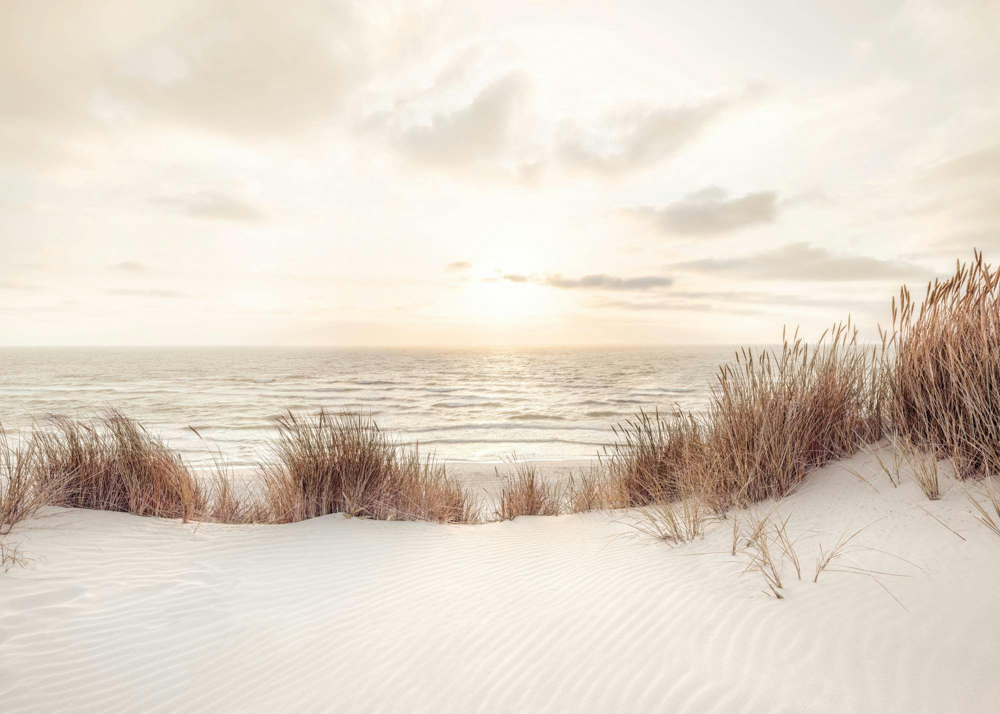 Sunset at Dune Beach Affiche 0