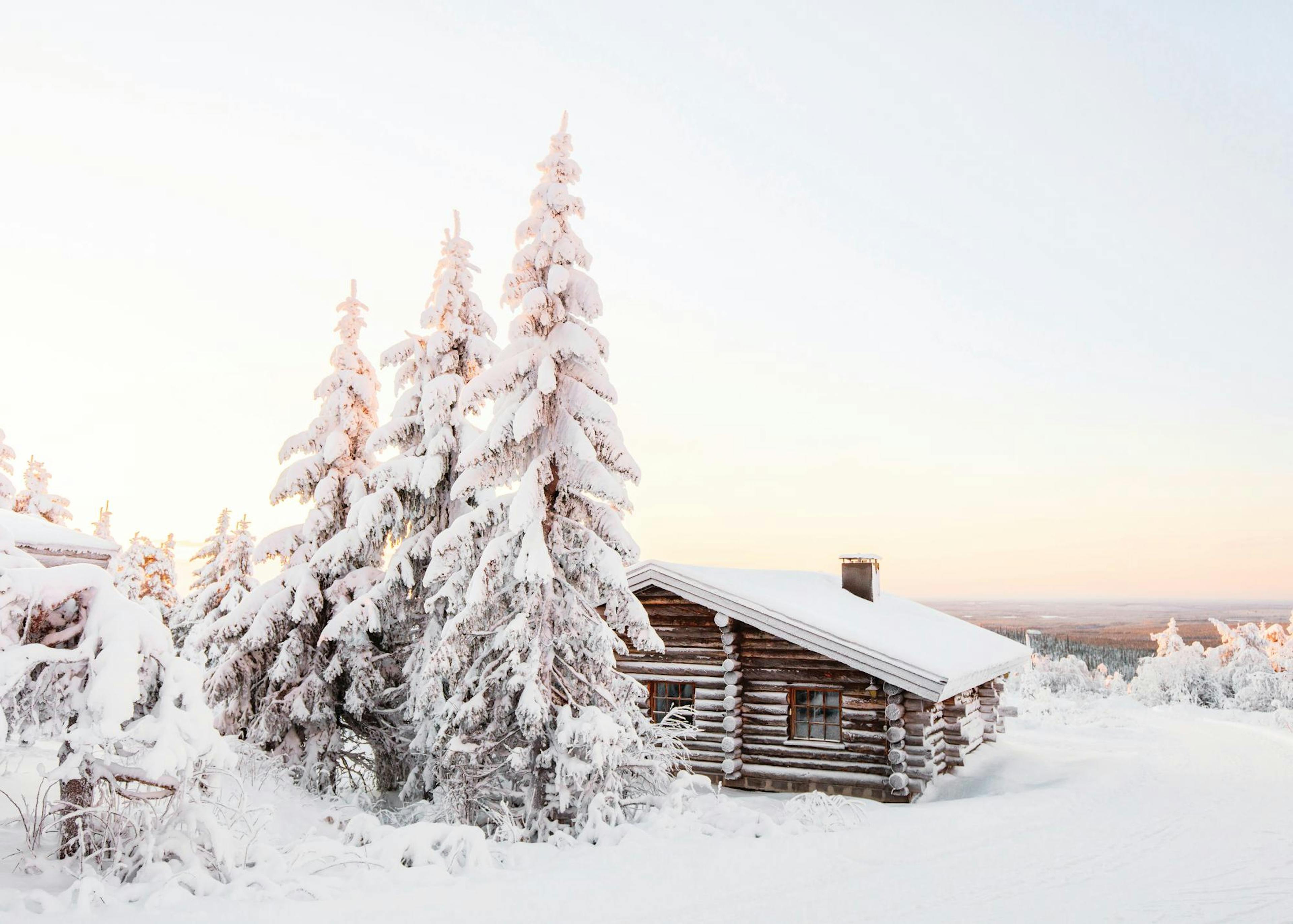 Winter Cabin Poster 0