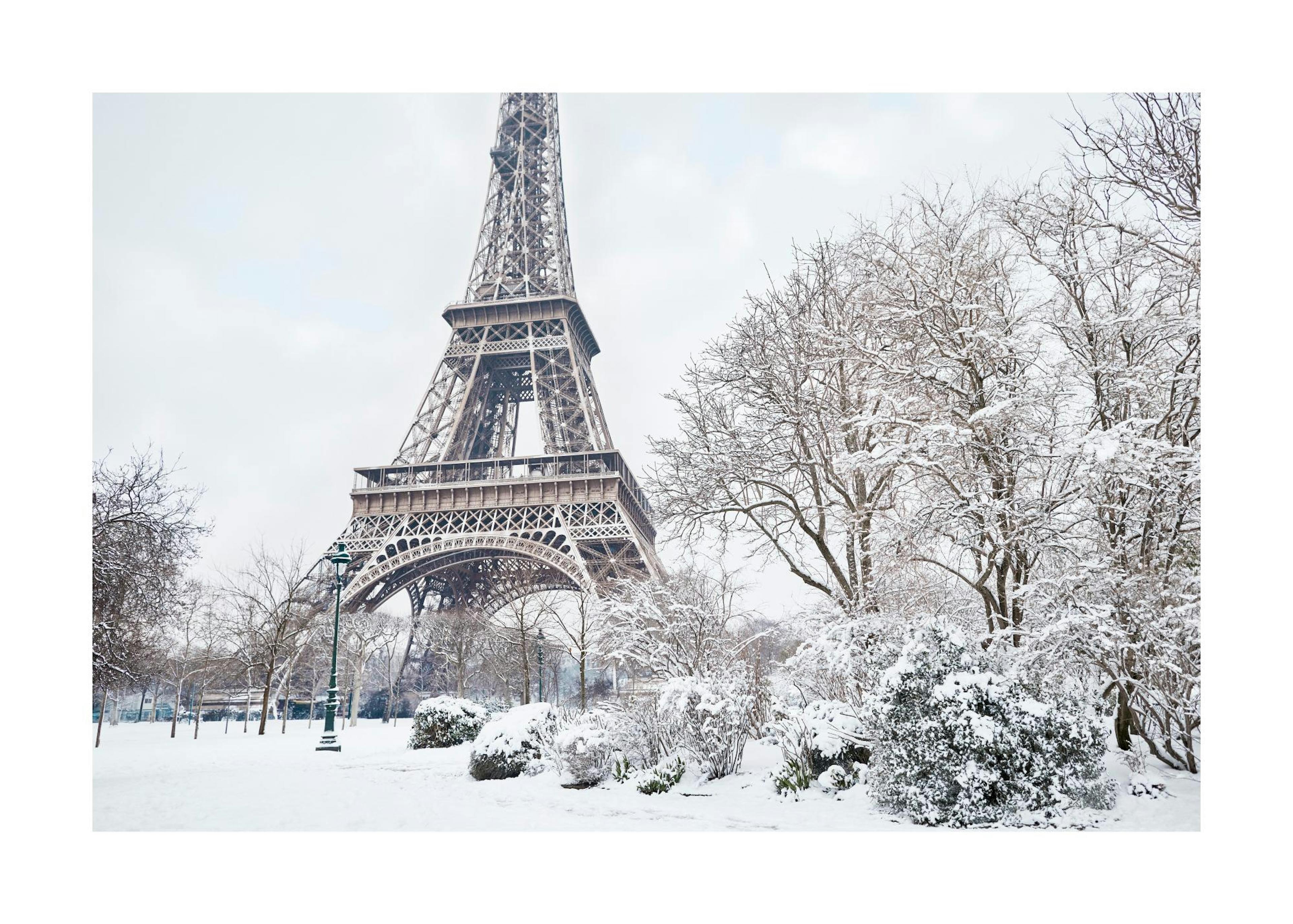 Winter in Paris Poster 0