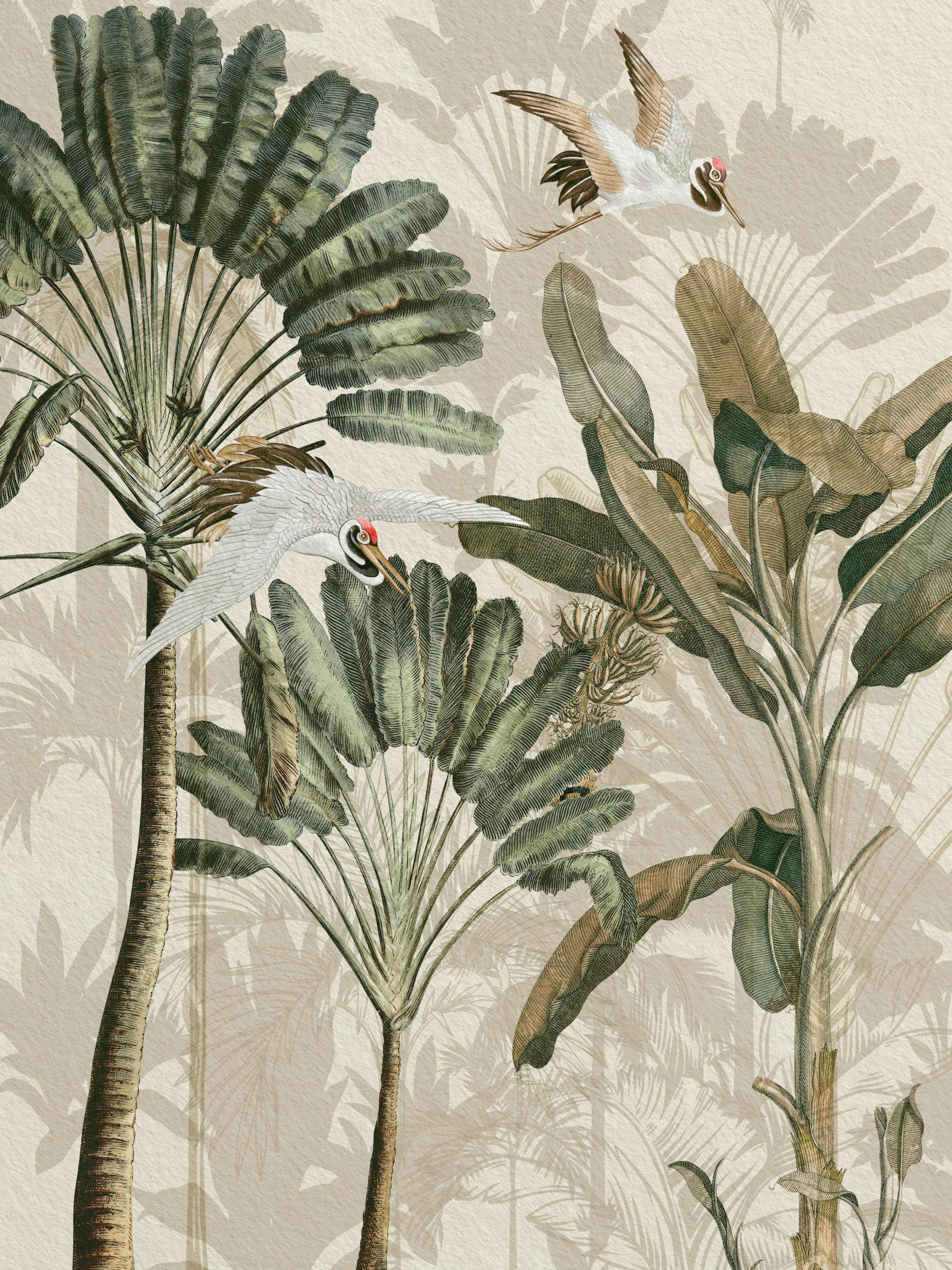 Affiche des Grues dans la Forêt Tropicale thumbnail