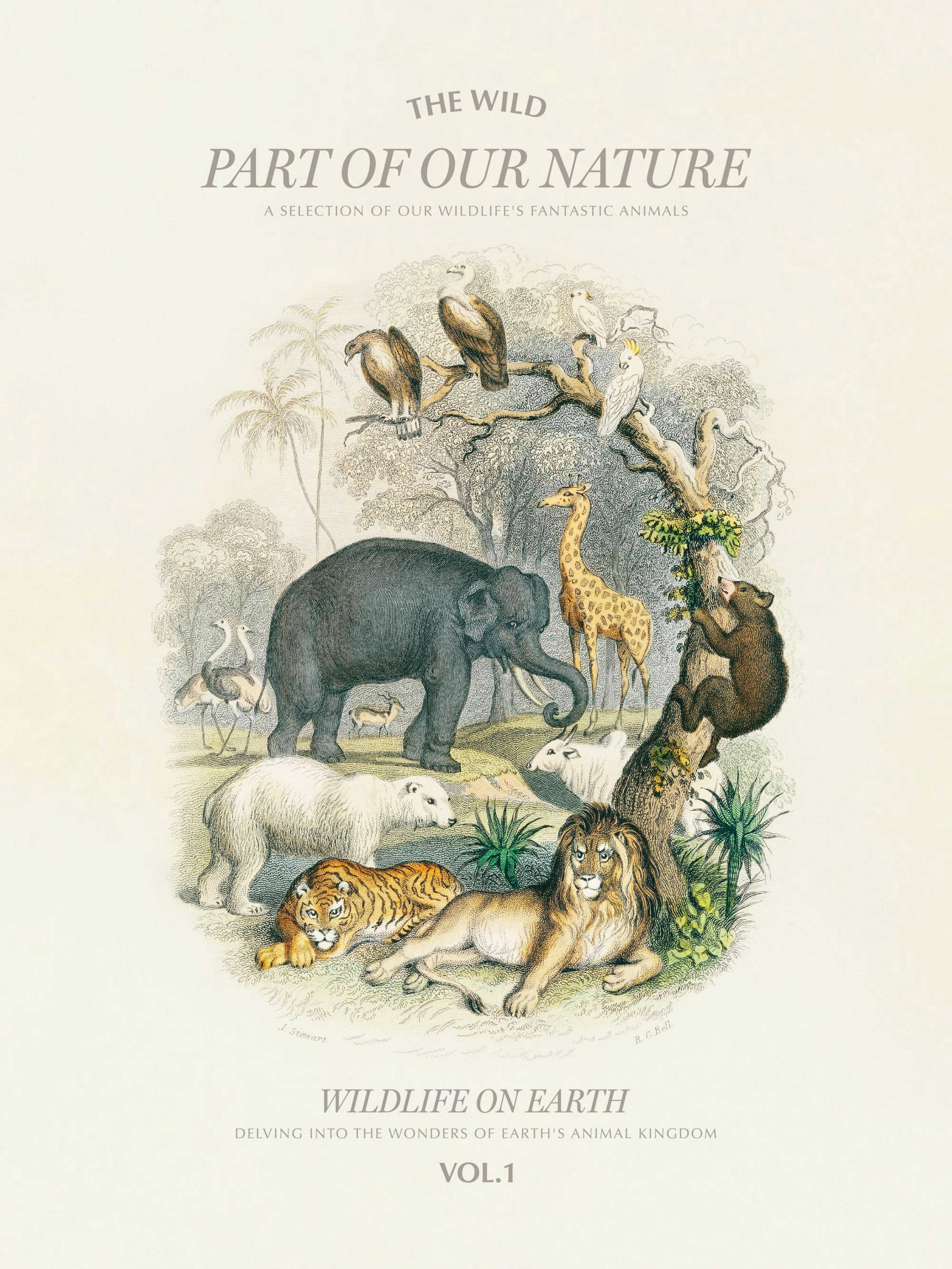 Wildlife on Earth Poster thumbnail