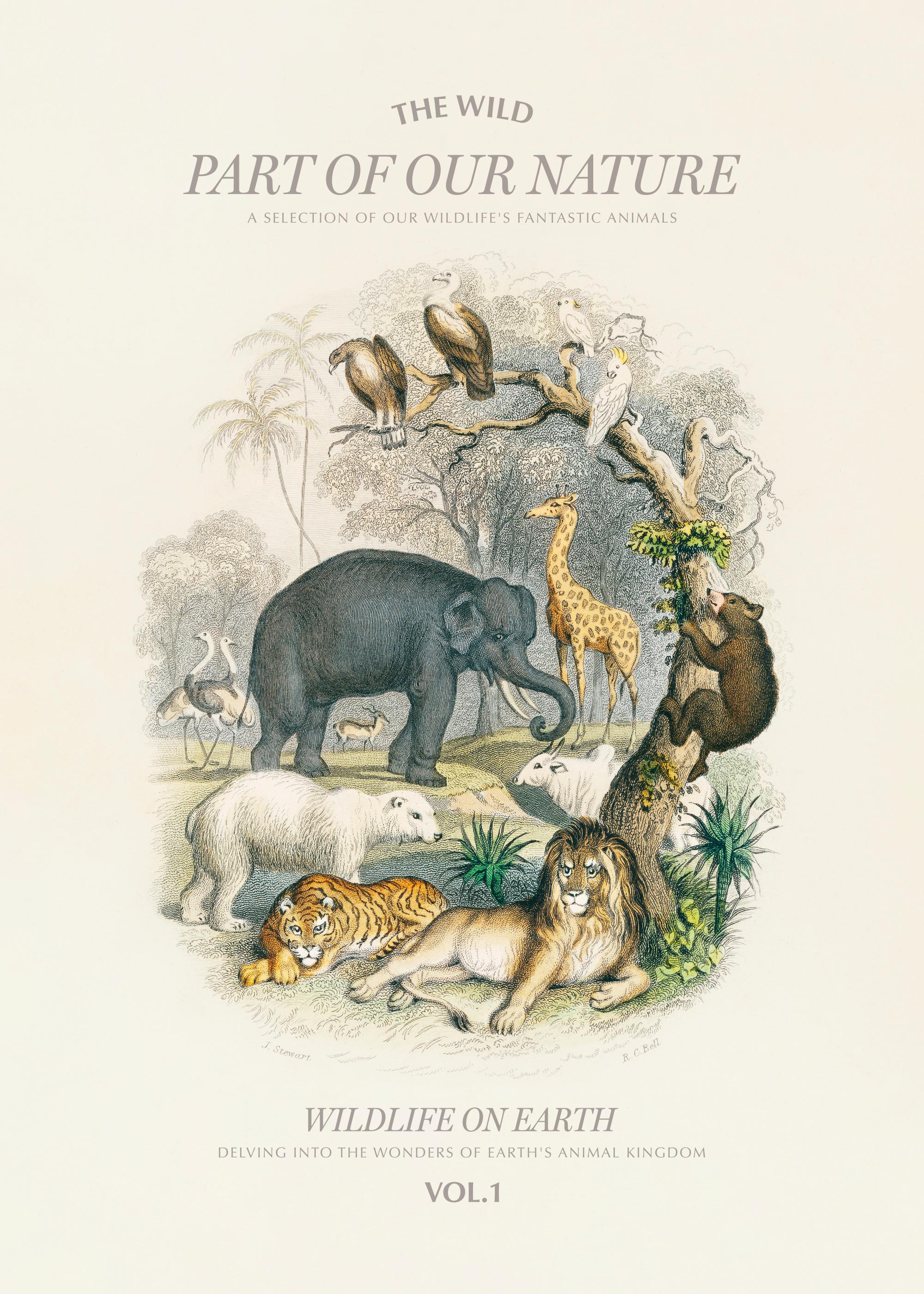 Wildlife on Earth ポスター | 豊かな自然を感じる動物アート