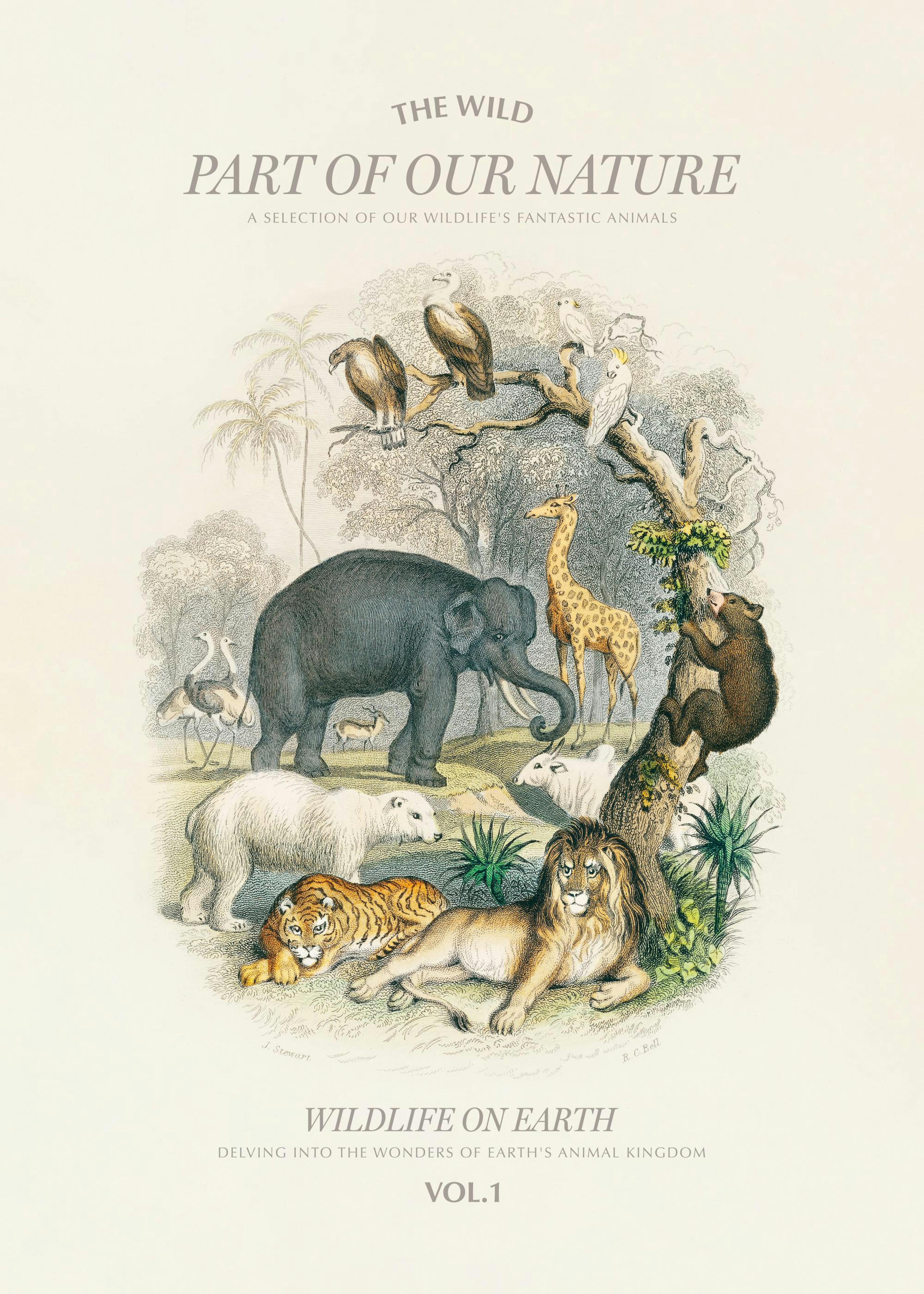 Poster Faune sur Terre 0