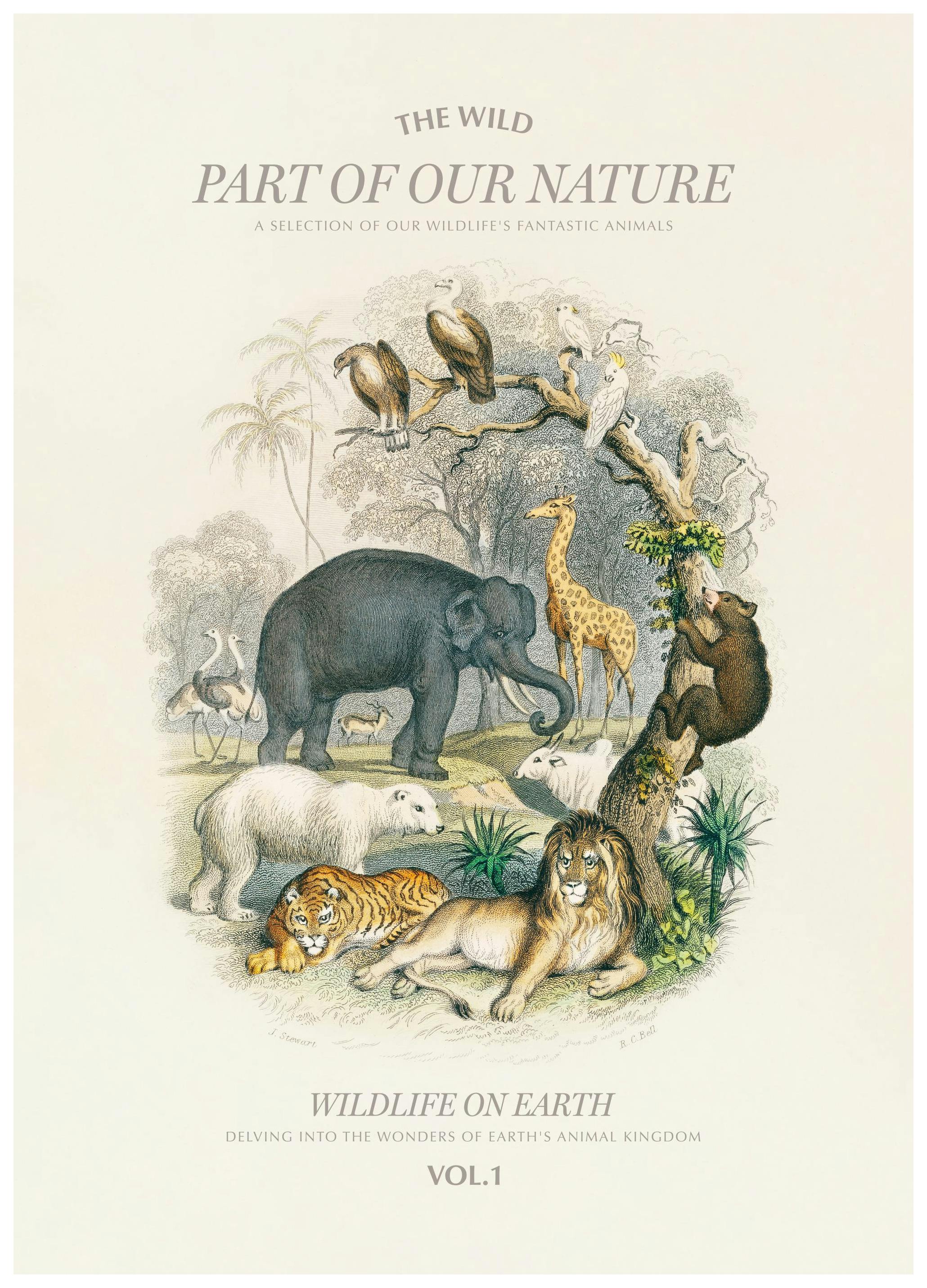 Wildernis op aarde poster (50x70 cm) - Poster Store