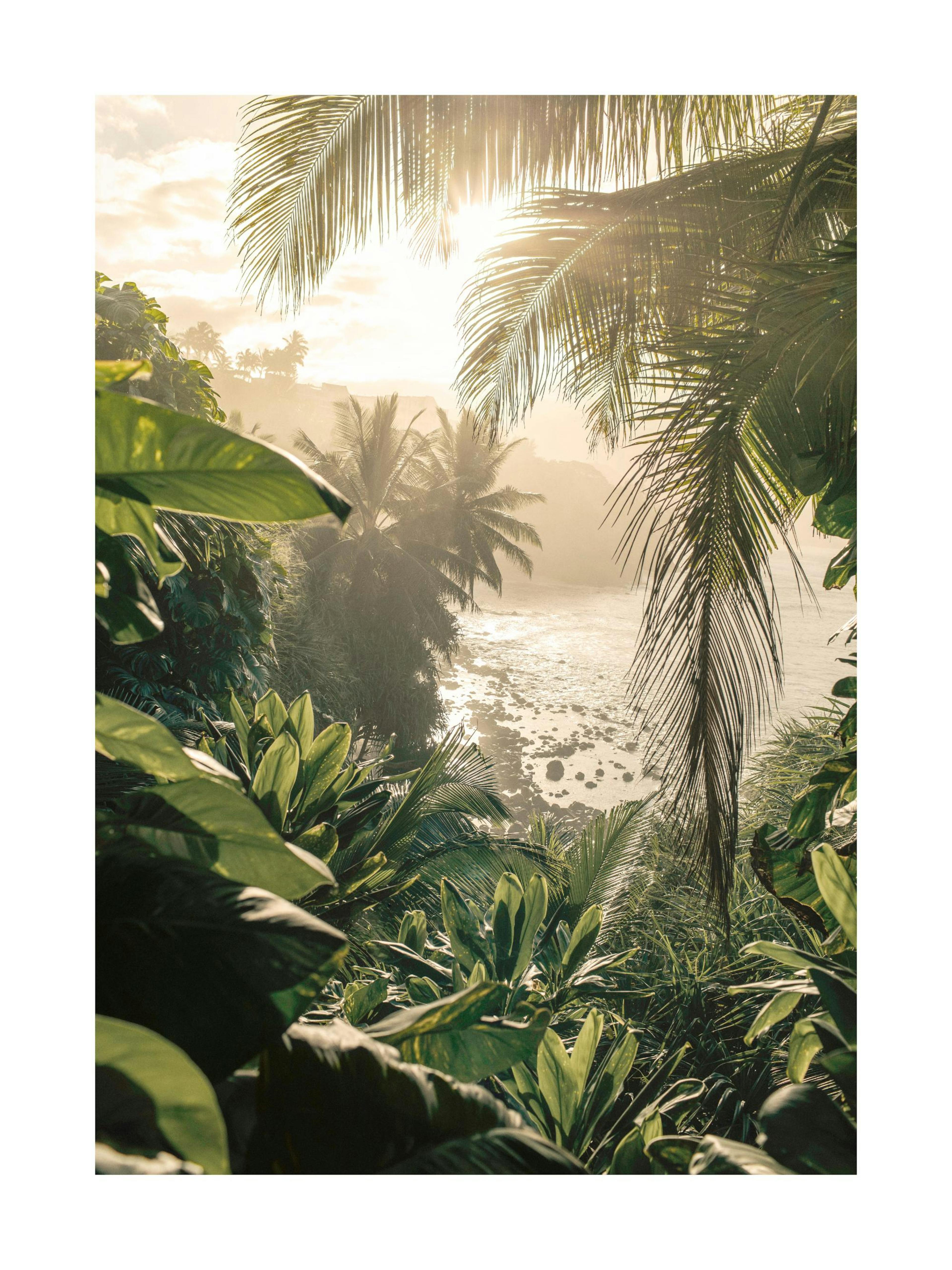 Poster Lumière de la Jungle thumbnail