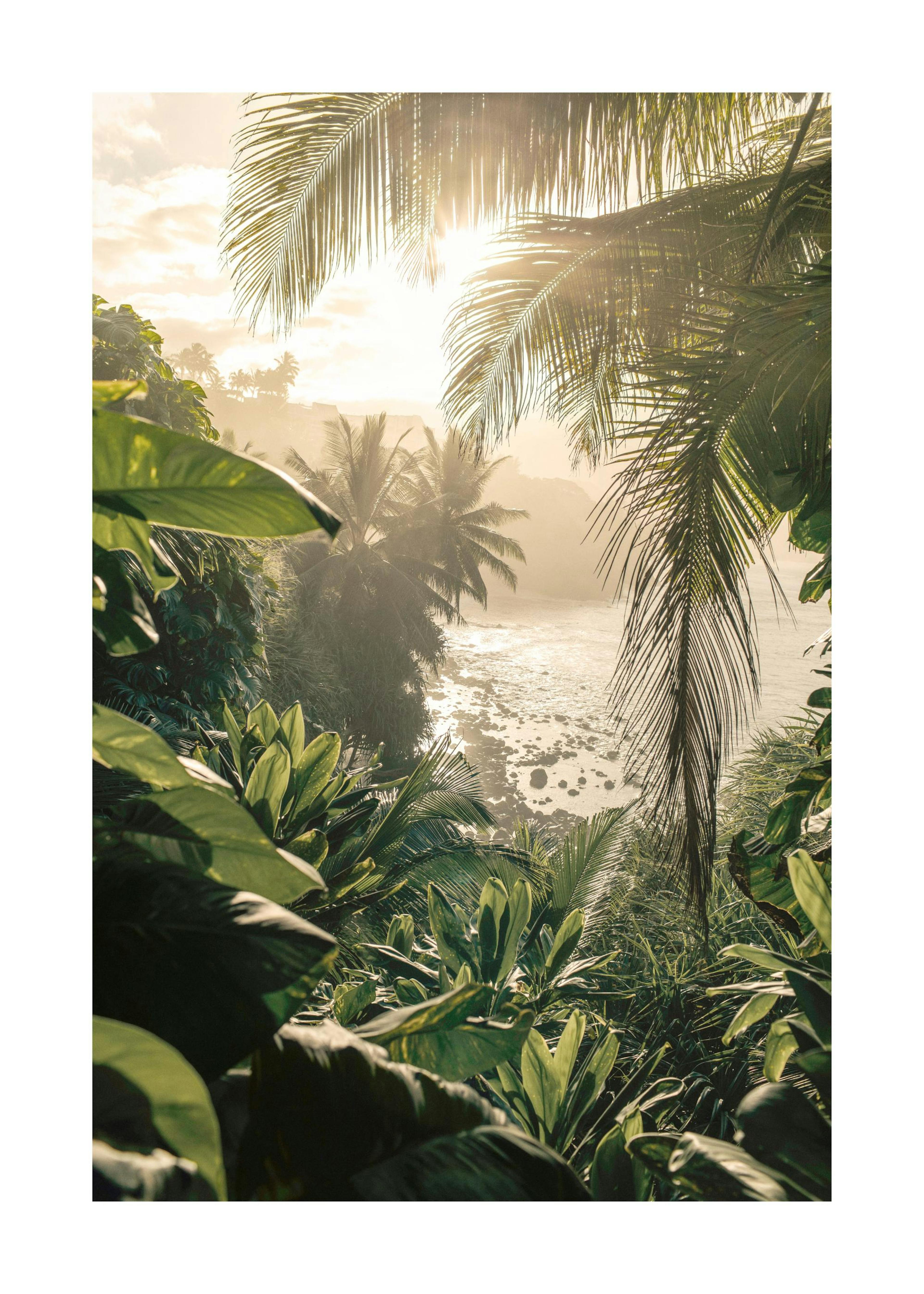 Jungle Light Poster 0