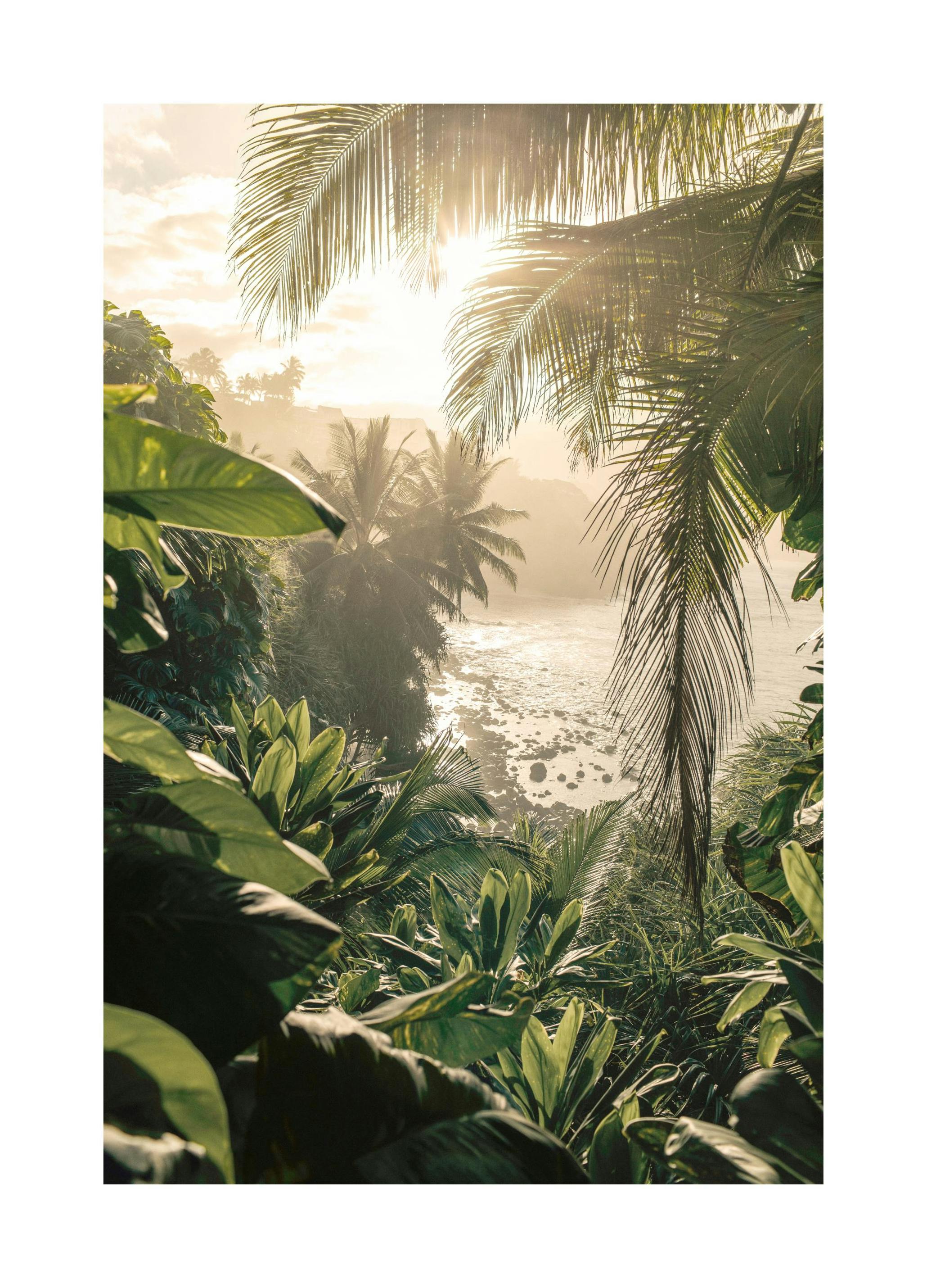 Poster Lumière de la Jungle - Poster Store
