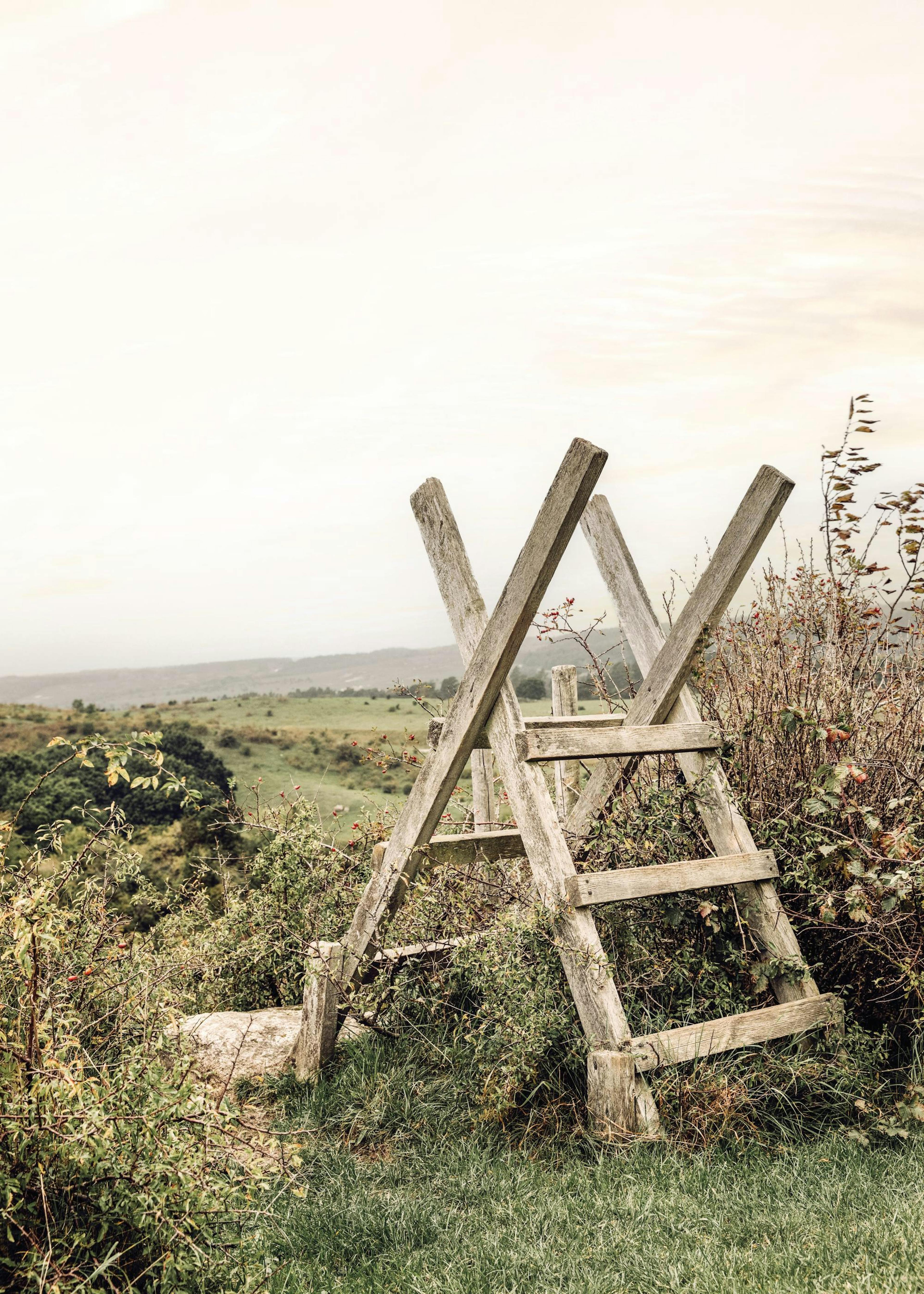 Rustique Landscape Poster 0