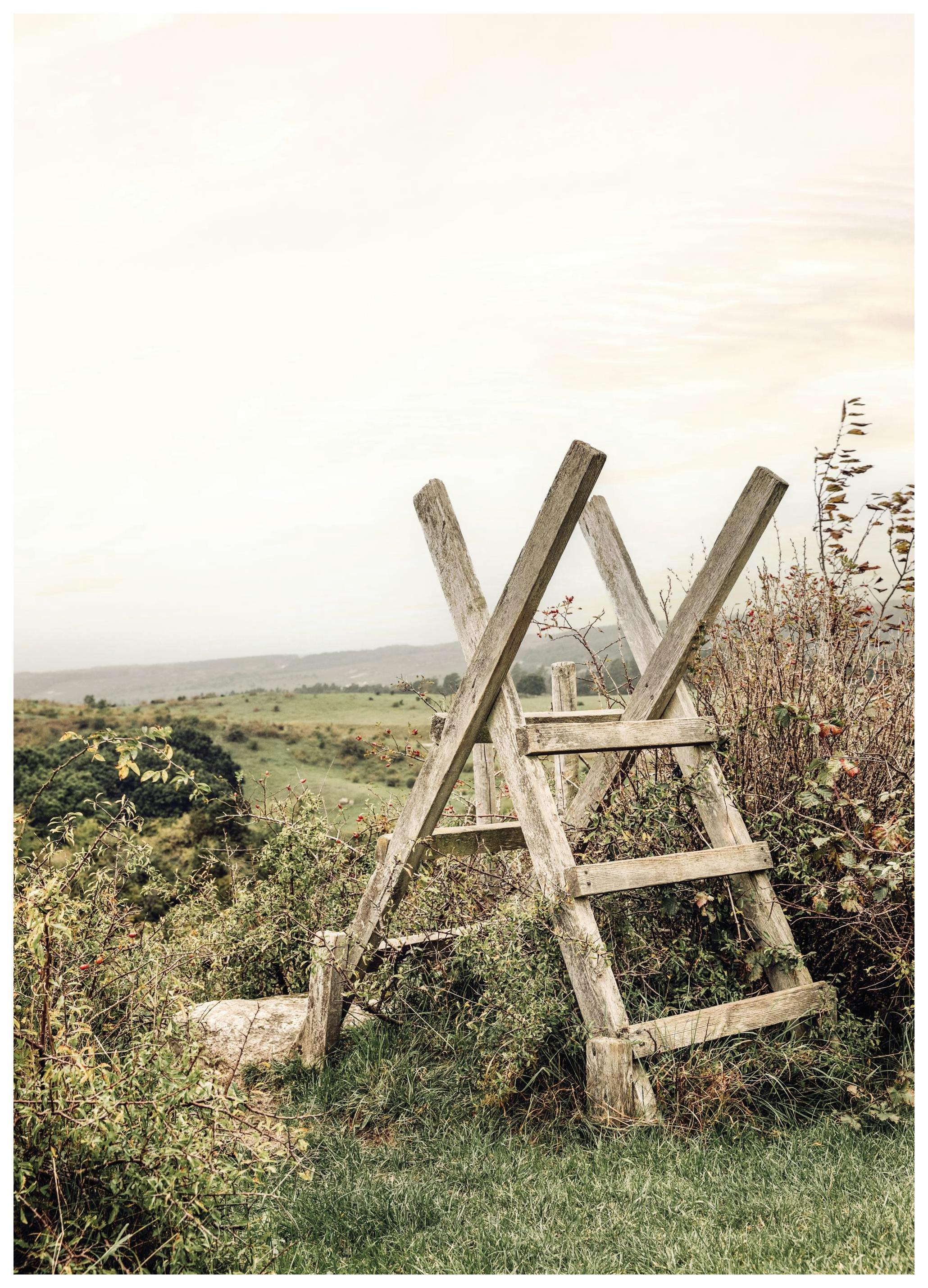 Rustique Landscape Poster (30x40 cm) - Poster Store