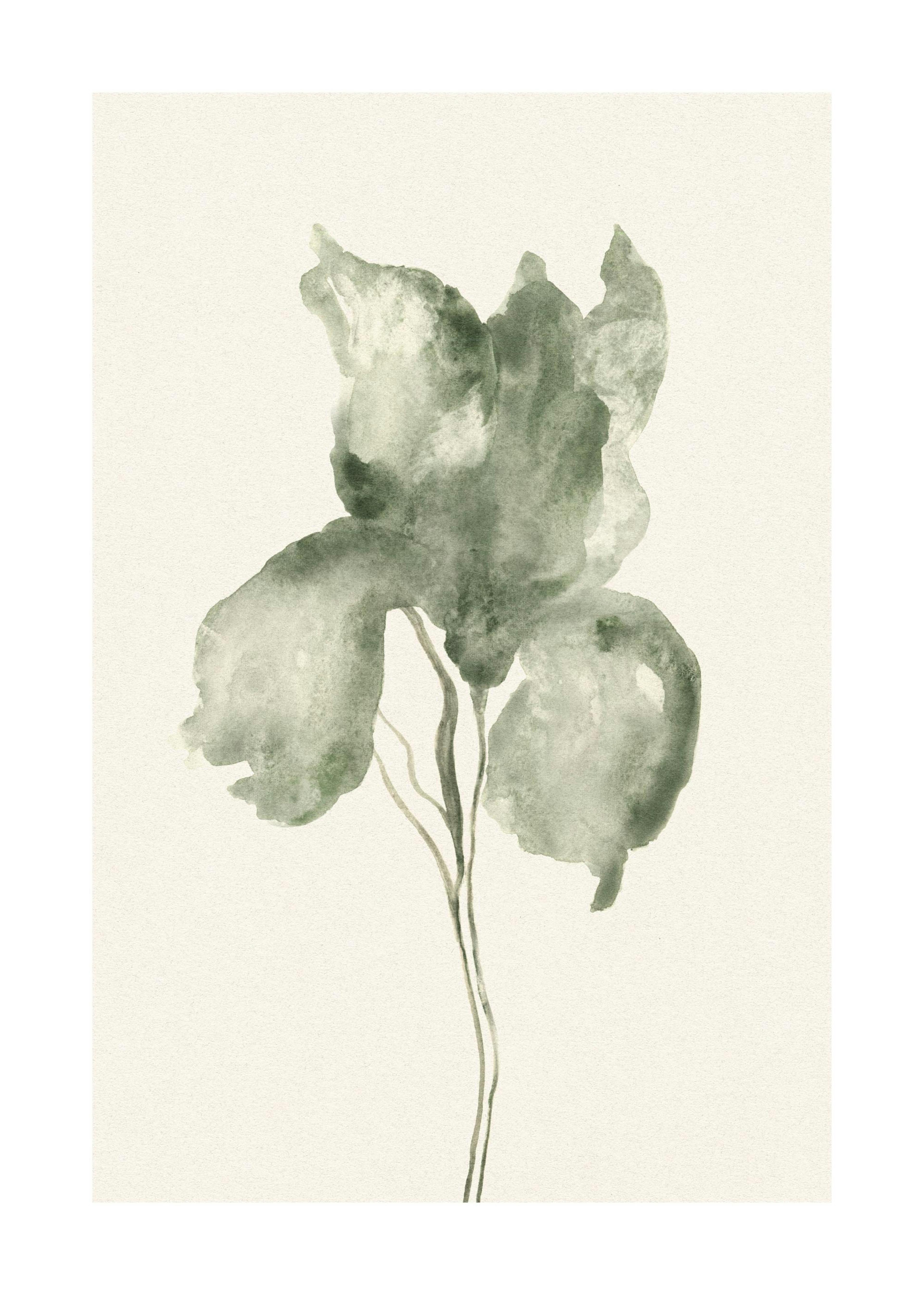 Watercolor Blossom Poster 0