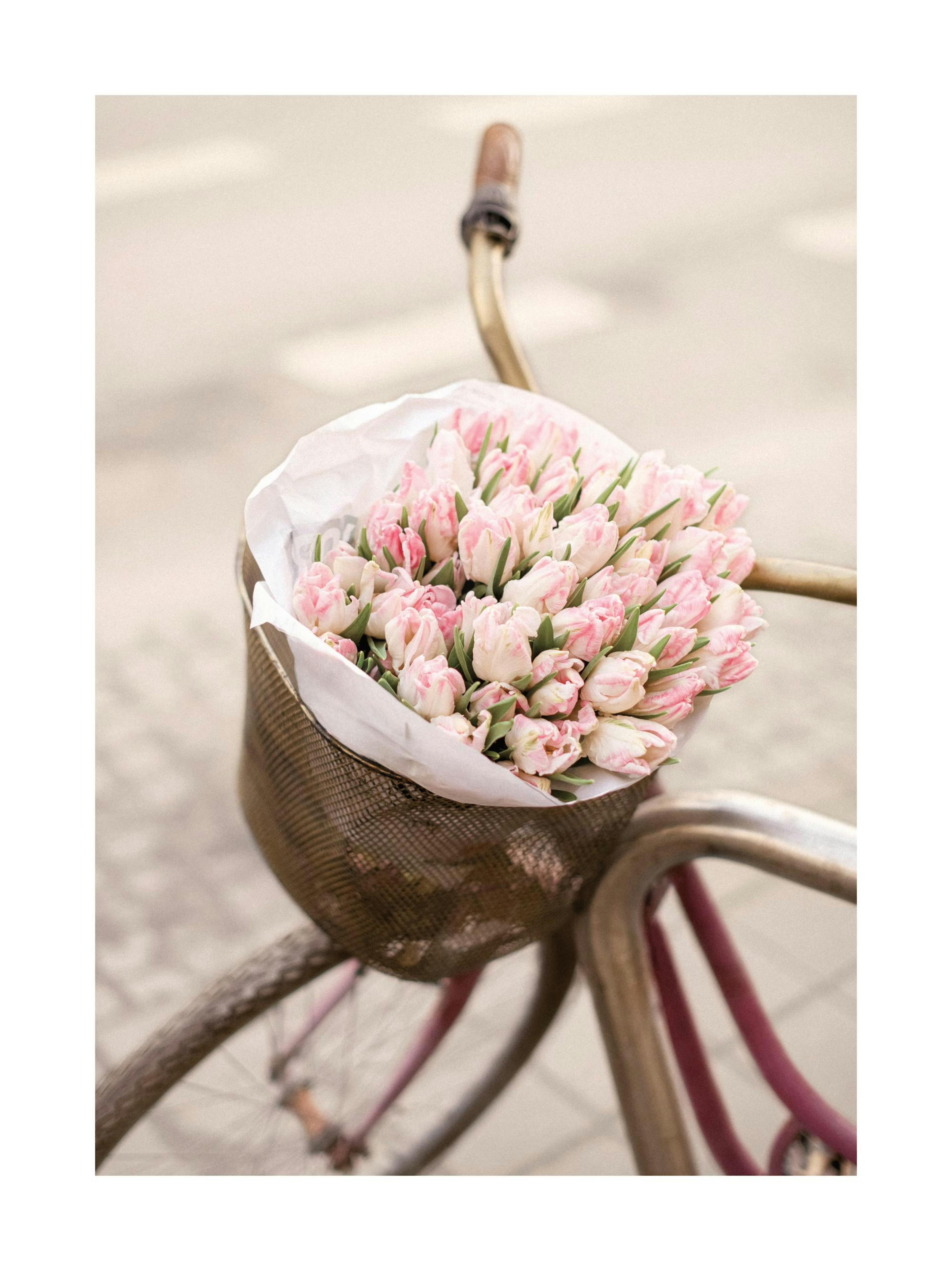 Rosa Tulpen auf Fahrrad Poster thumbnail