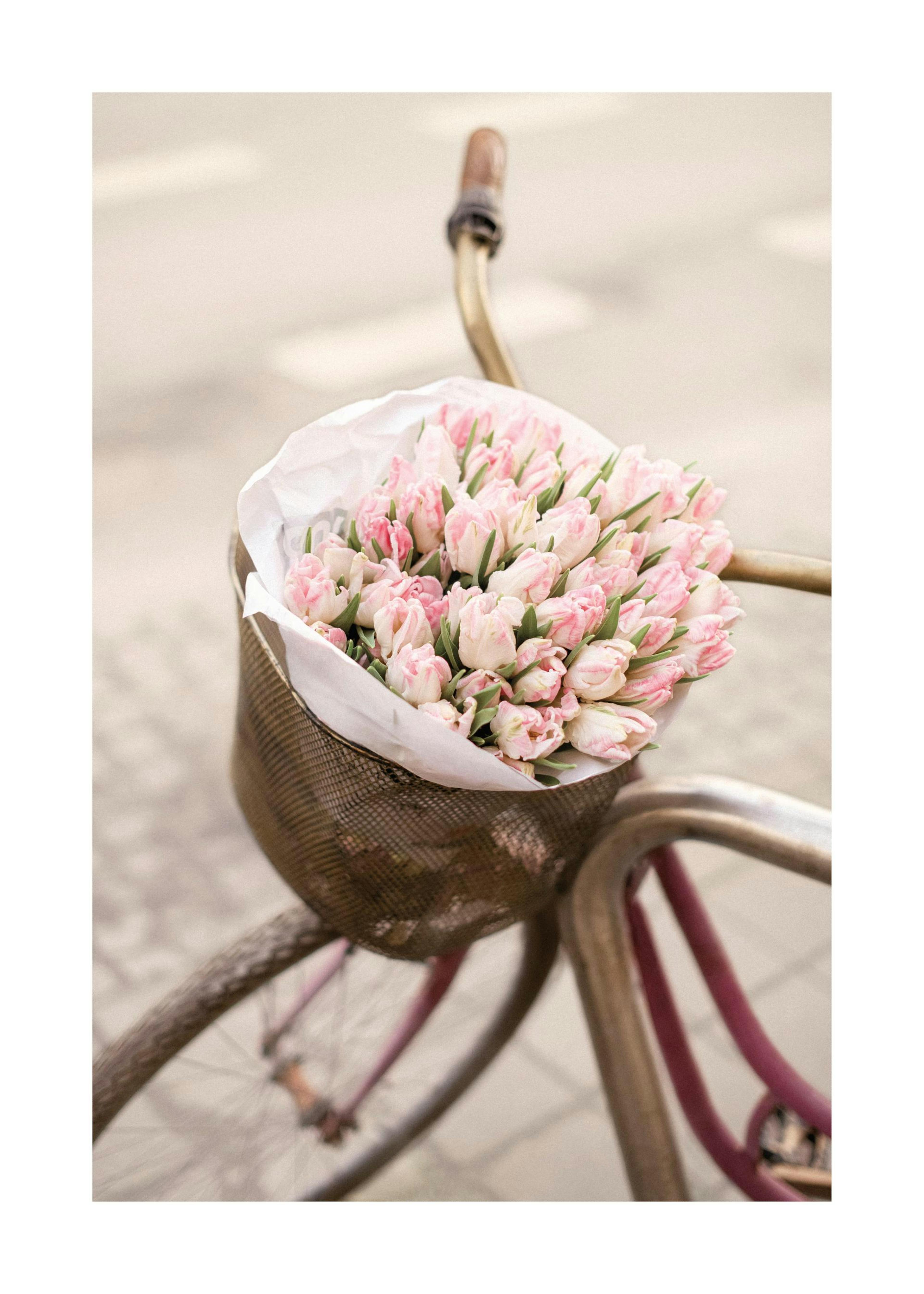 Pink Tulips on Bicycle Poster 0