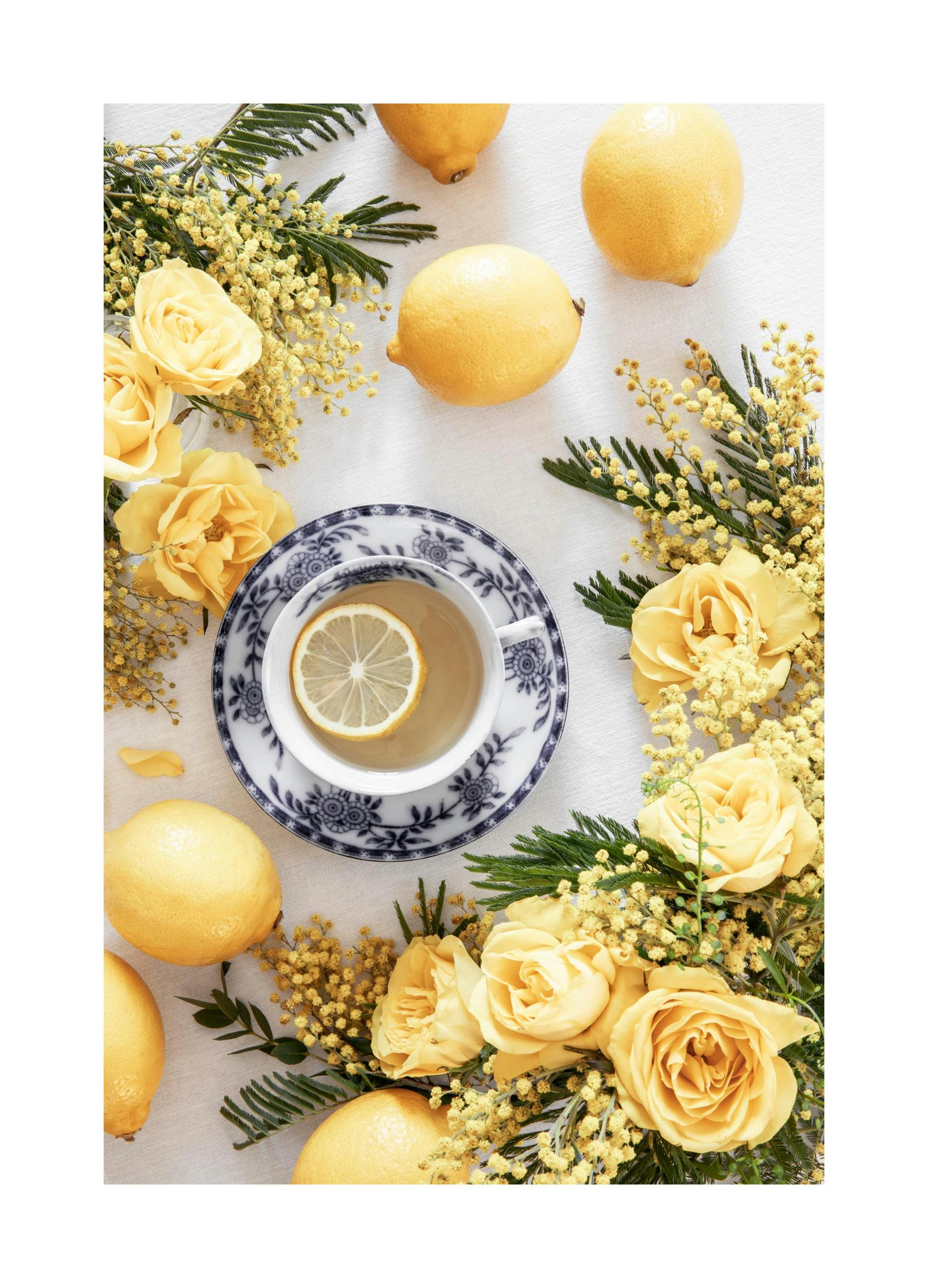 Tè al Limone Poster (30x40 cm) - Poster Store