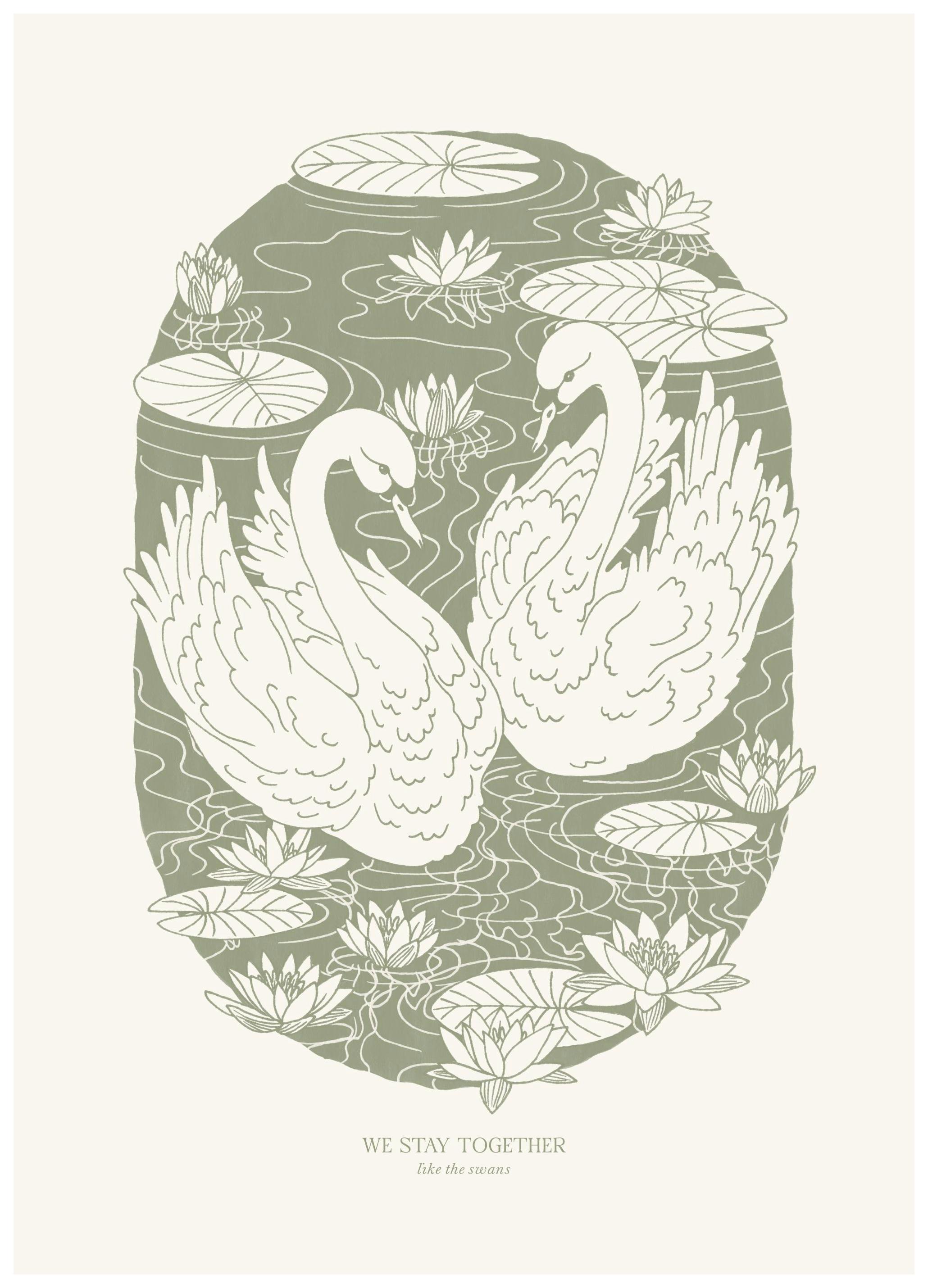 Like The Swans Poster (50x70 cm) - Poster Store