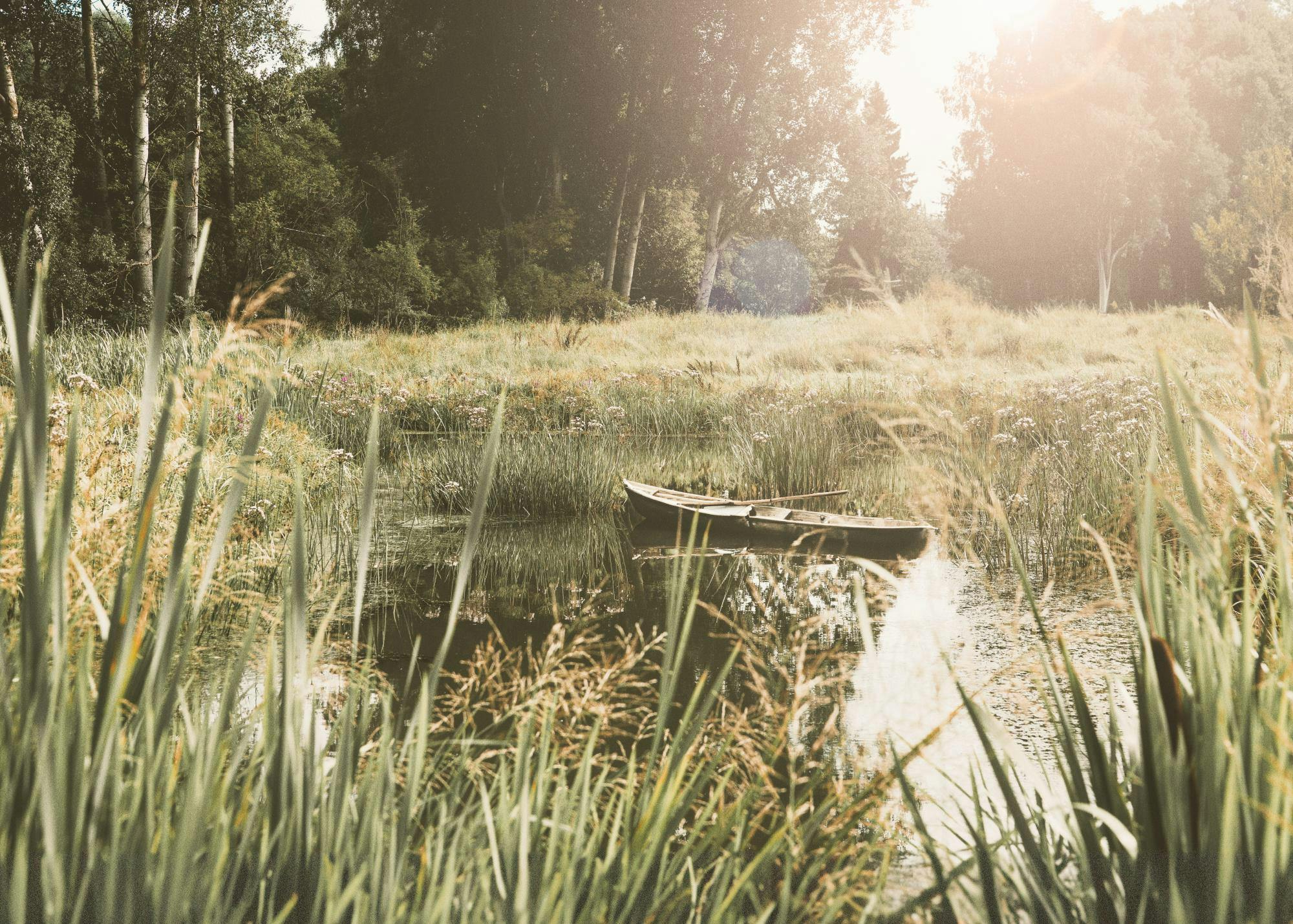 Rauhalliset päivät järvellä -juliste 0