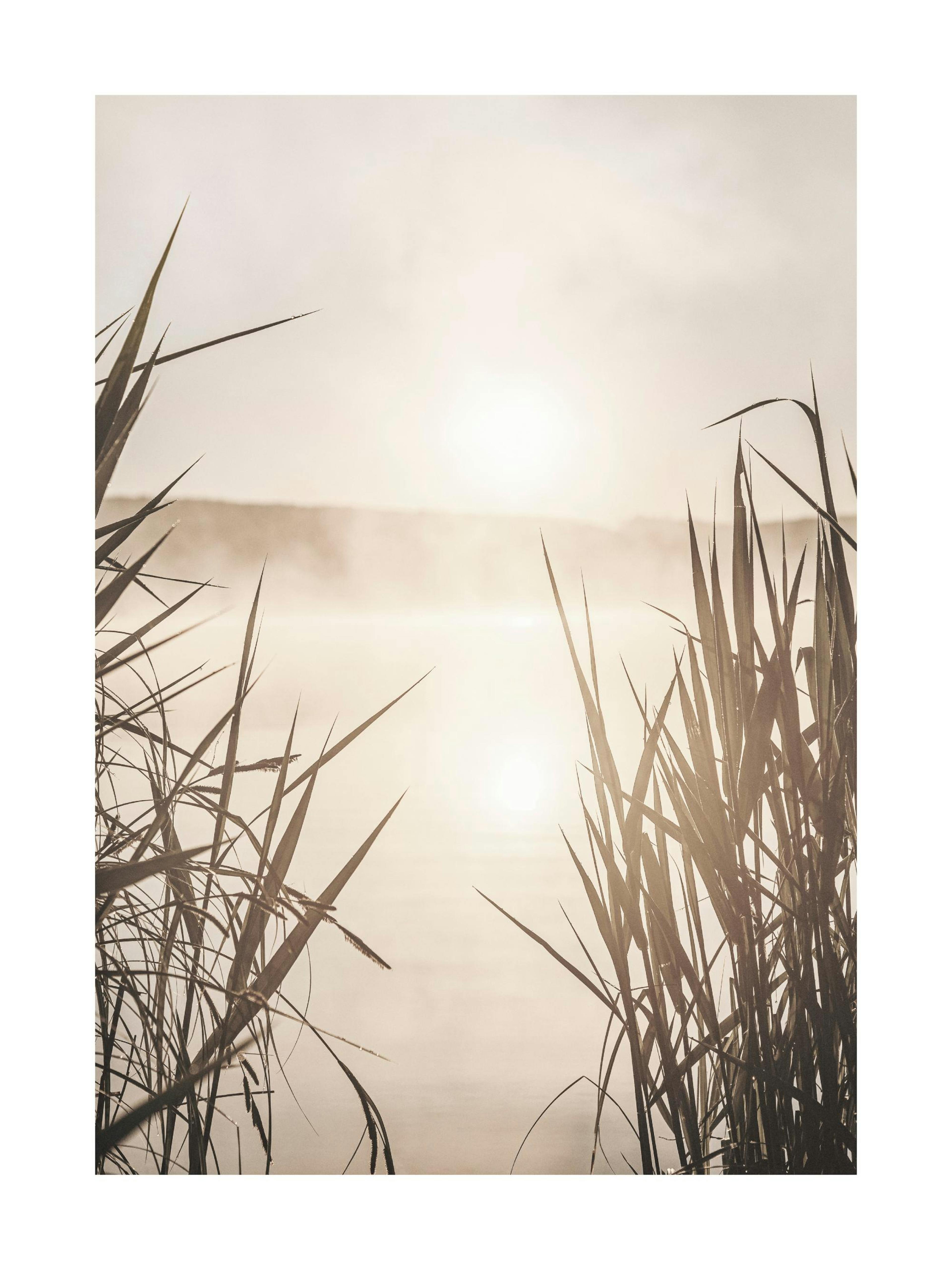 Sunrise on River Poster thumbnail