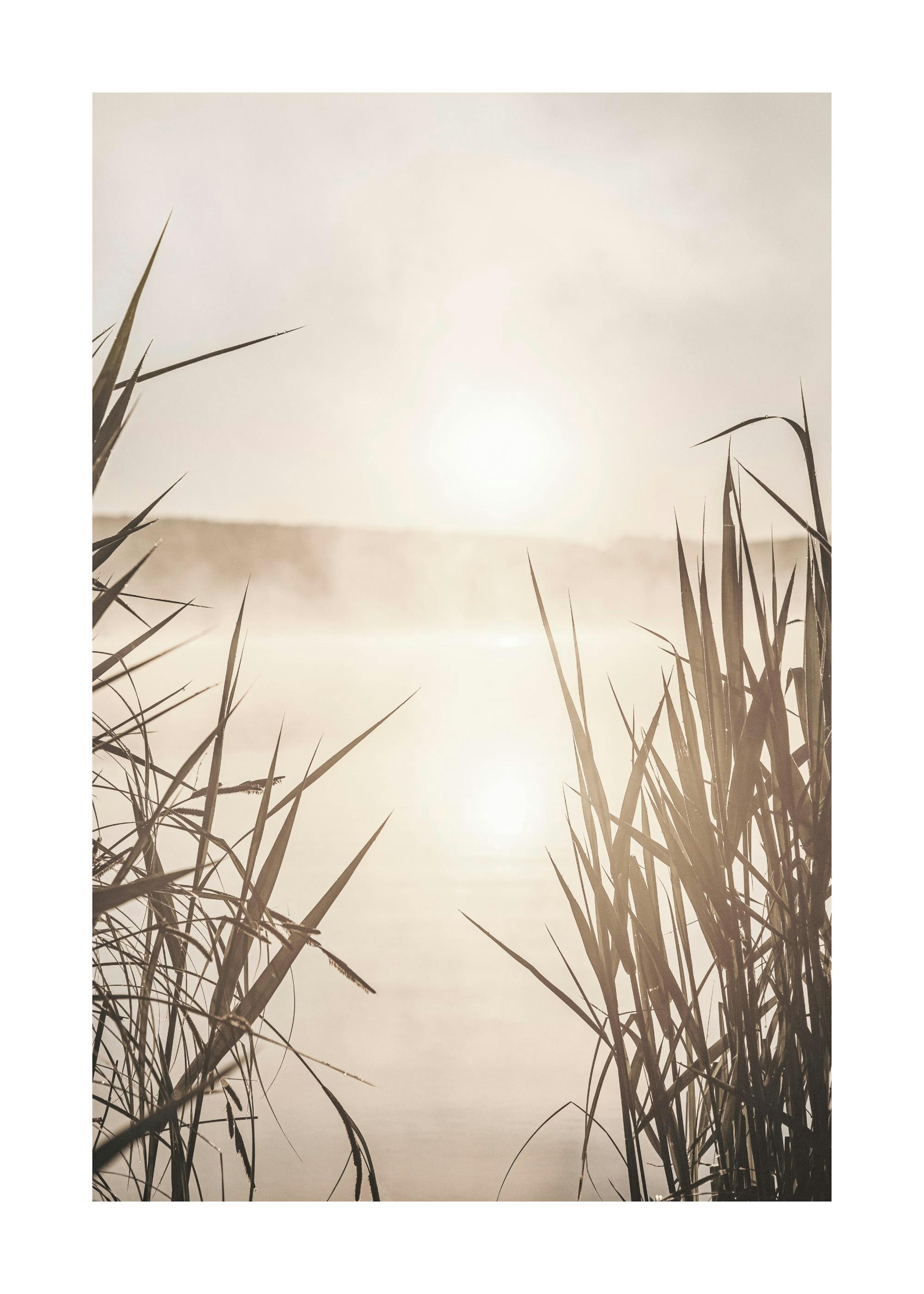 Sonnenaufgang am Fluss Poster 0