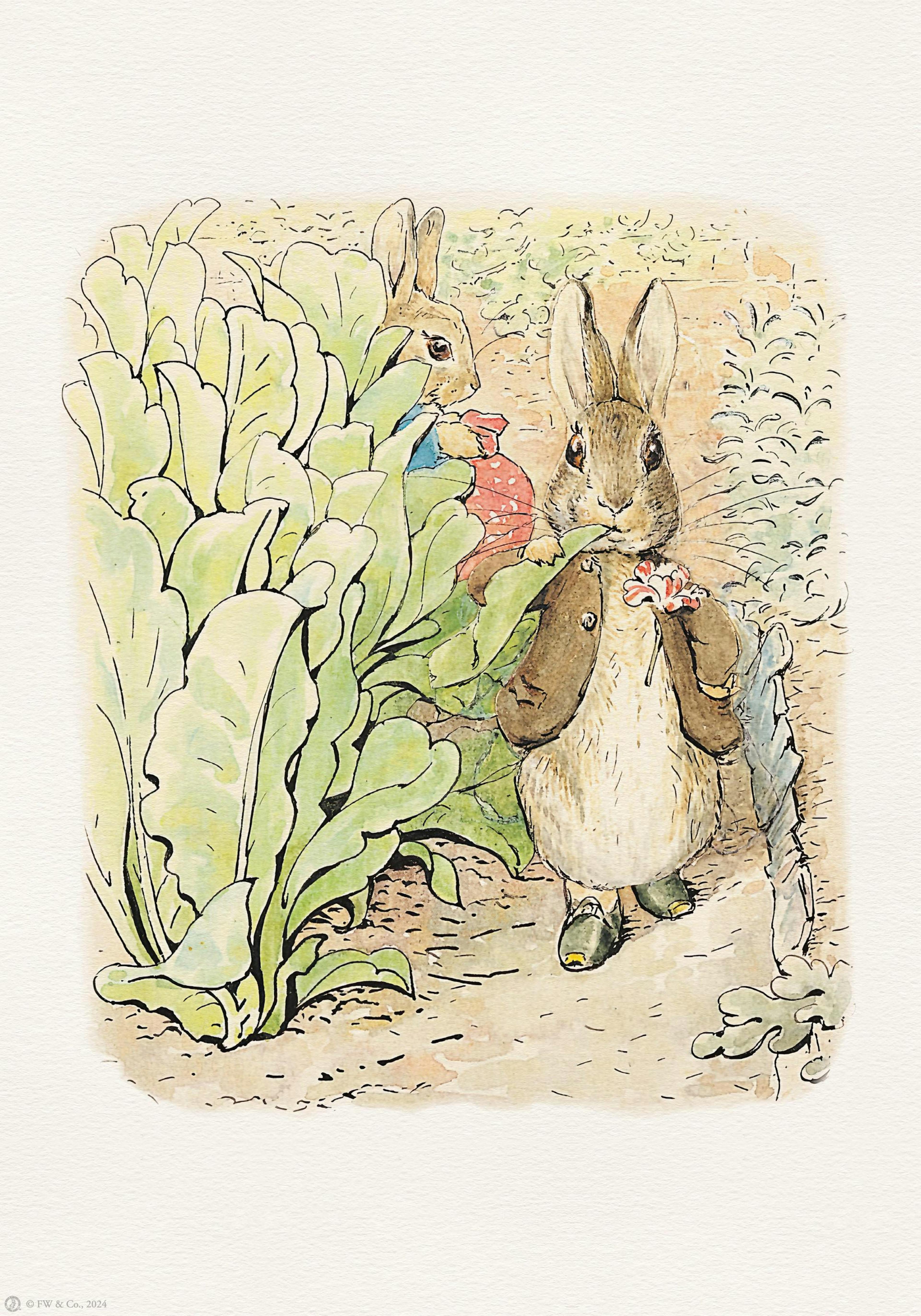 Peter Rabbit and Friends No2 Poster thumbnail