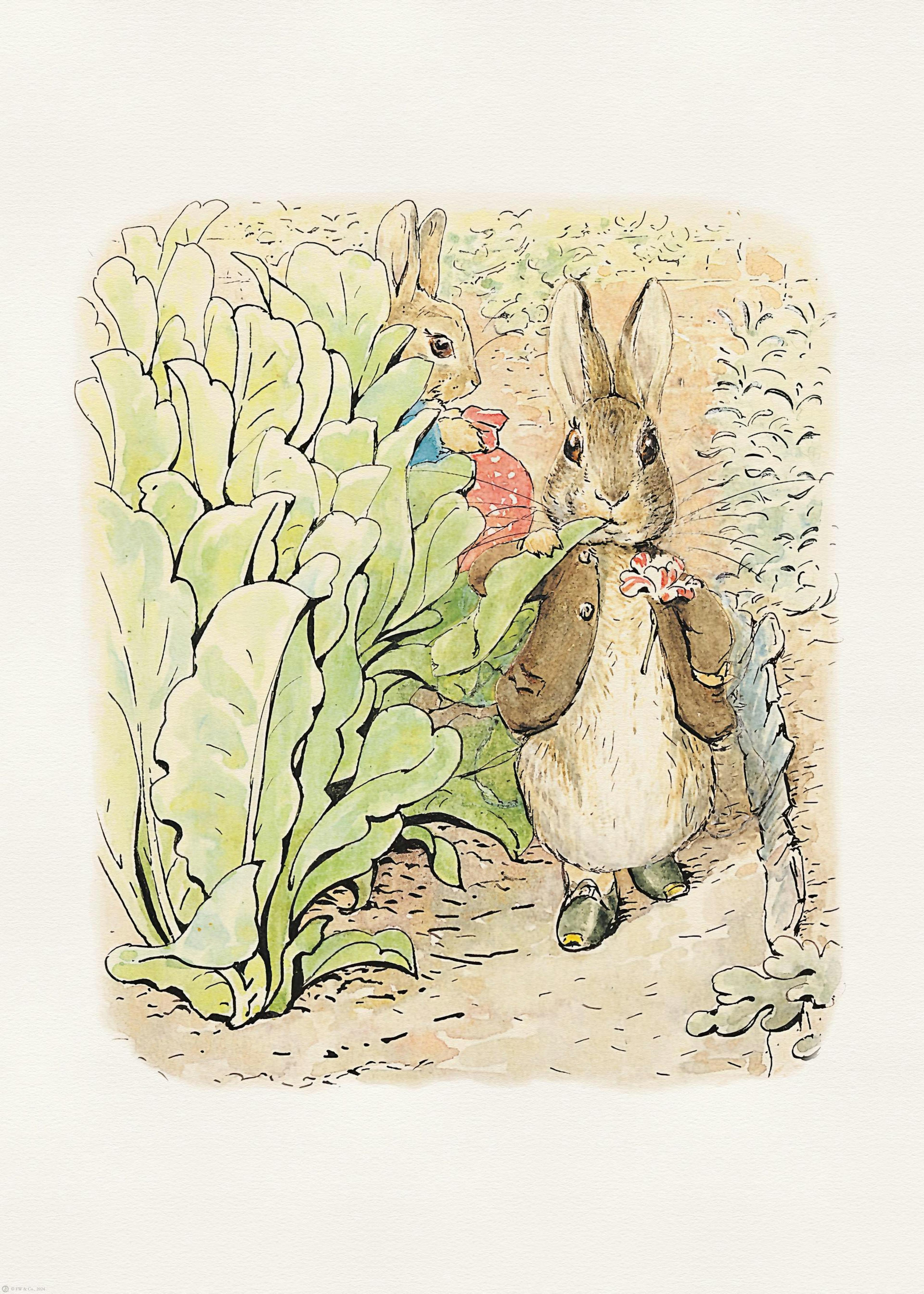 Peter Rabbit and Friends No2 Plakat 0