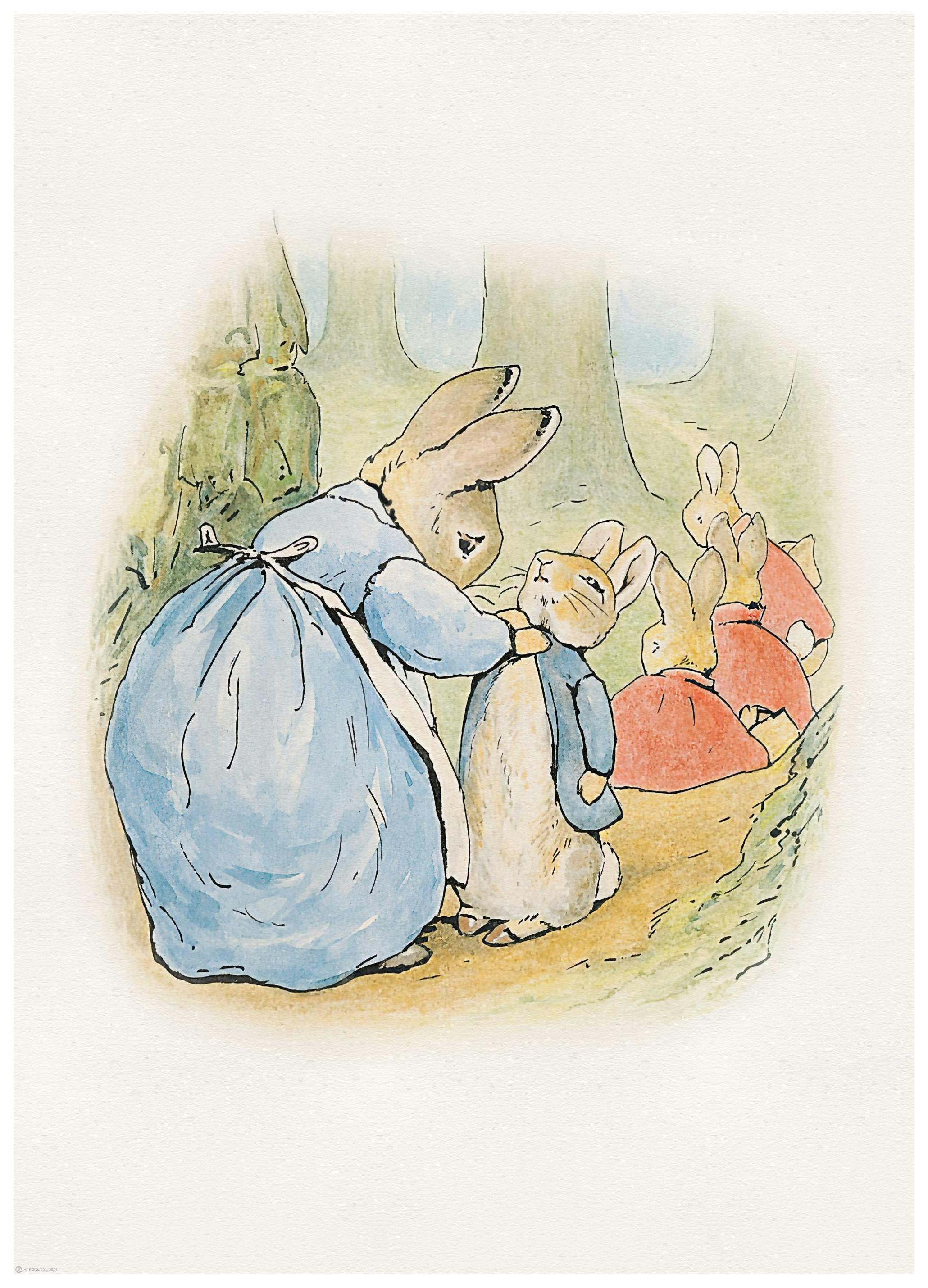 Peter Rabbit and Friends No3 Poster (30x40 cm) - Poster Store