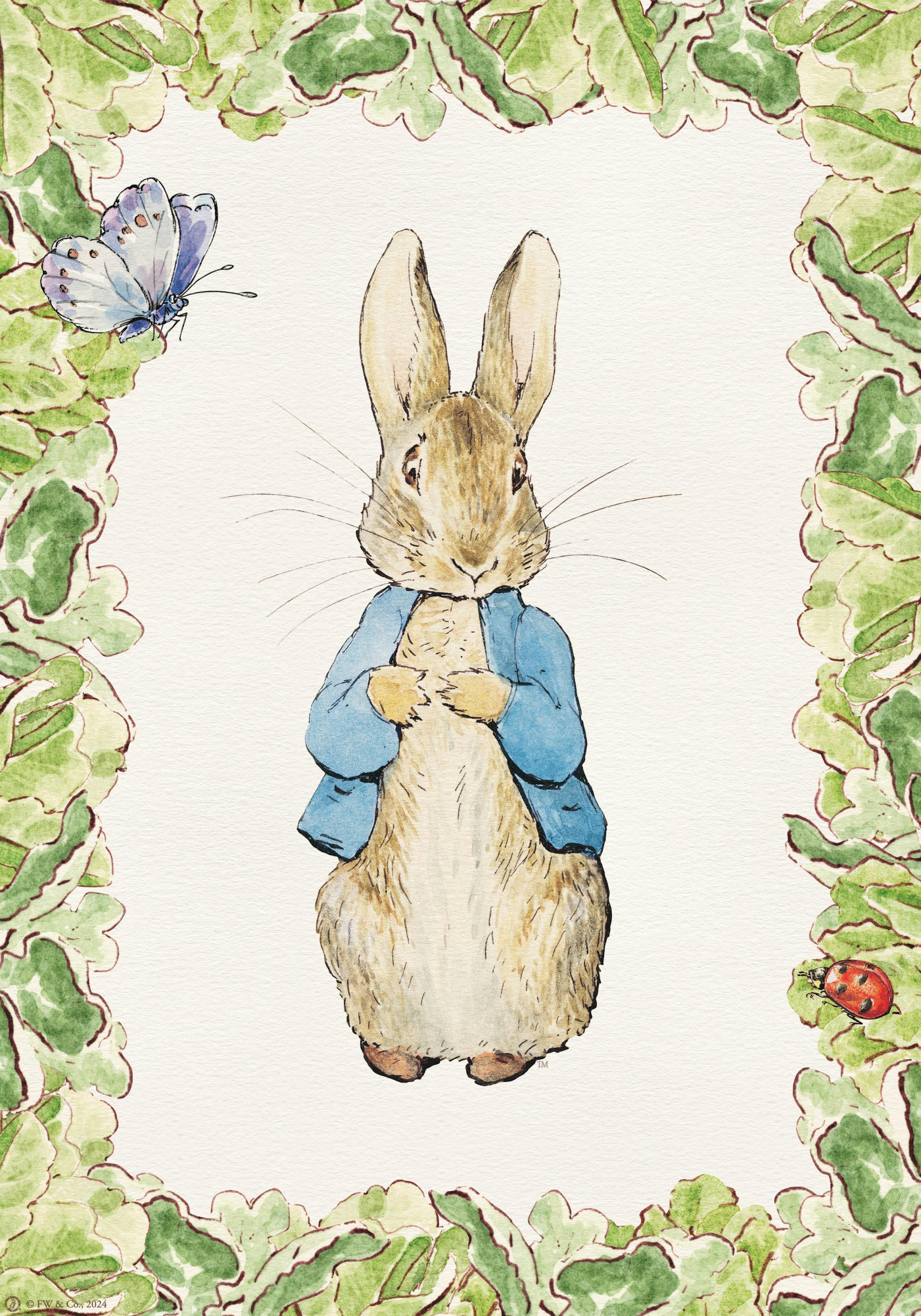 Peter Rabbit Portrait Poster thumbnail