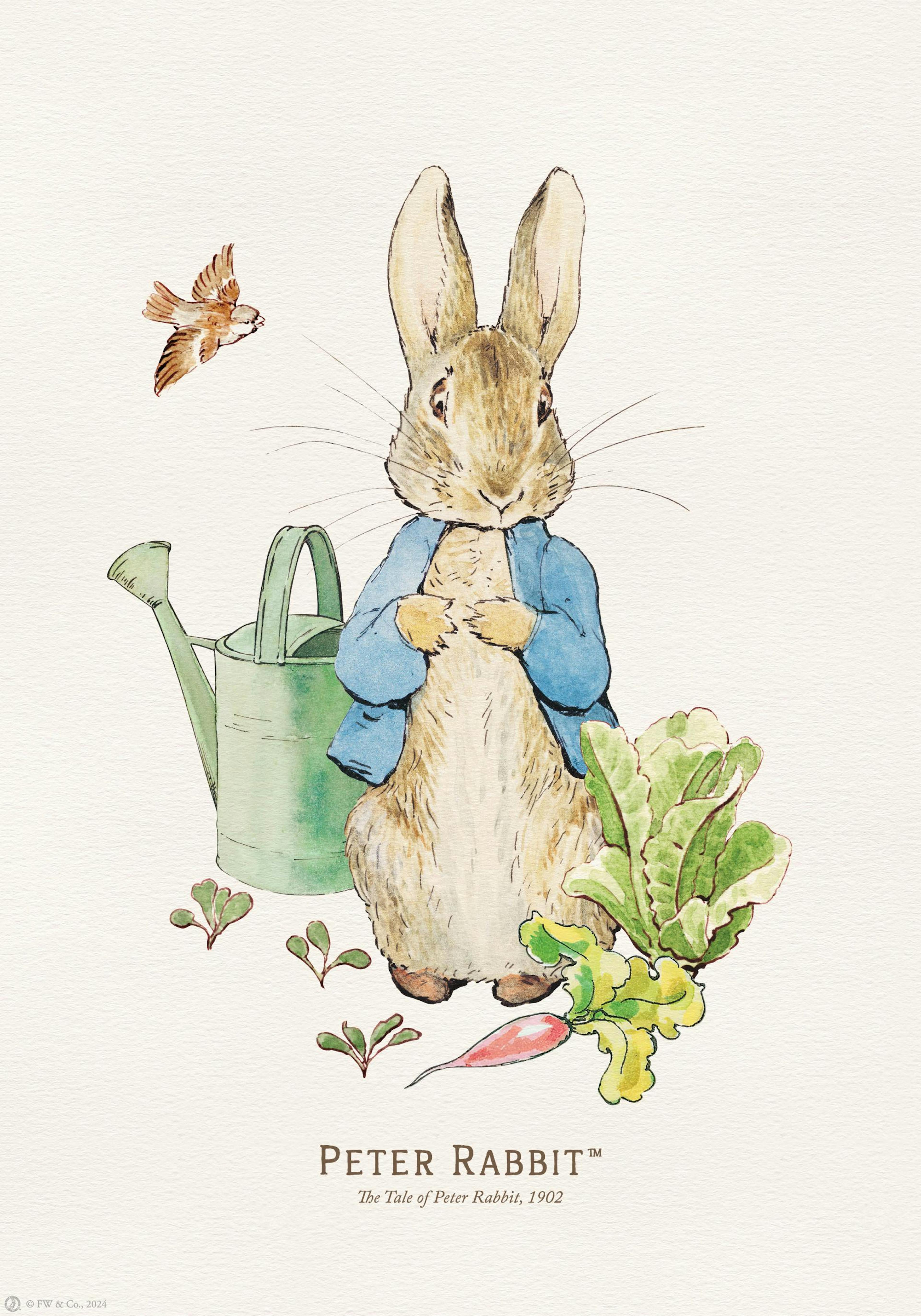 Peter Rabbit Illustration Poster thumbnail