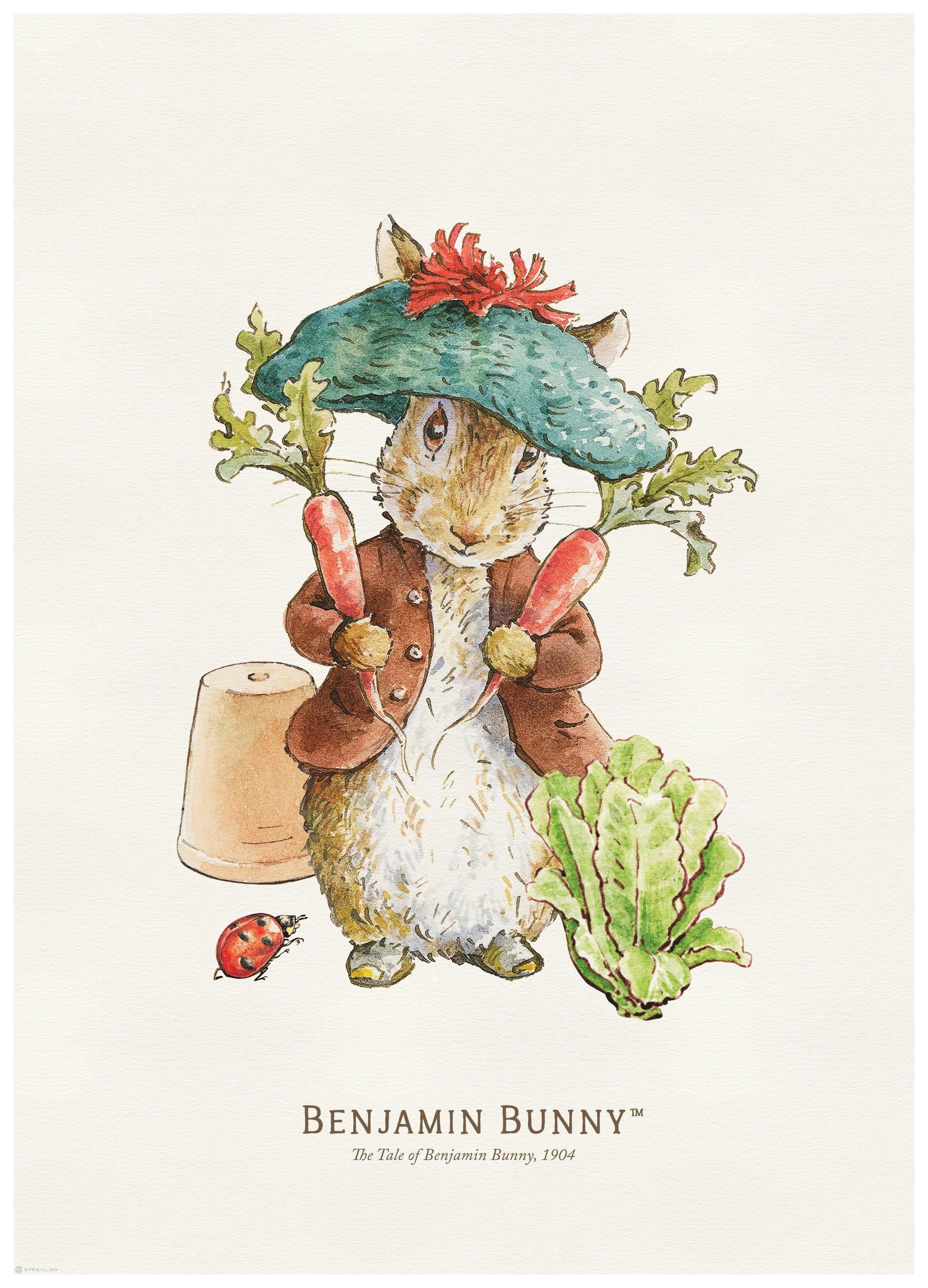 Peter Rabbit - Benjamin Bunny Illustration Poster (30x40 cm) - Poster Store