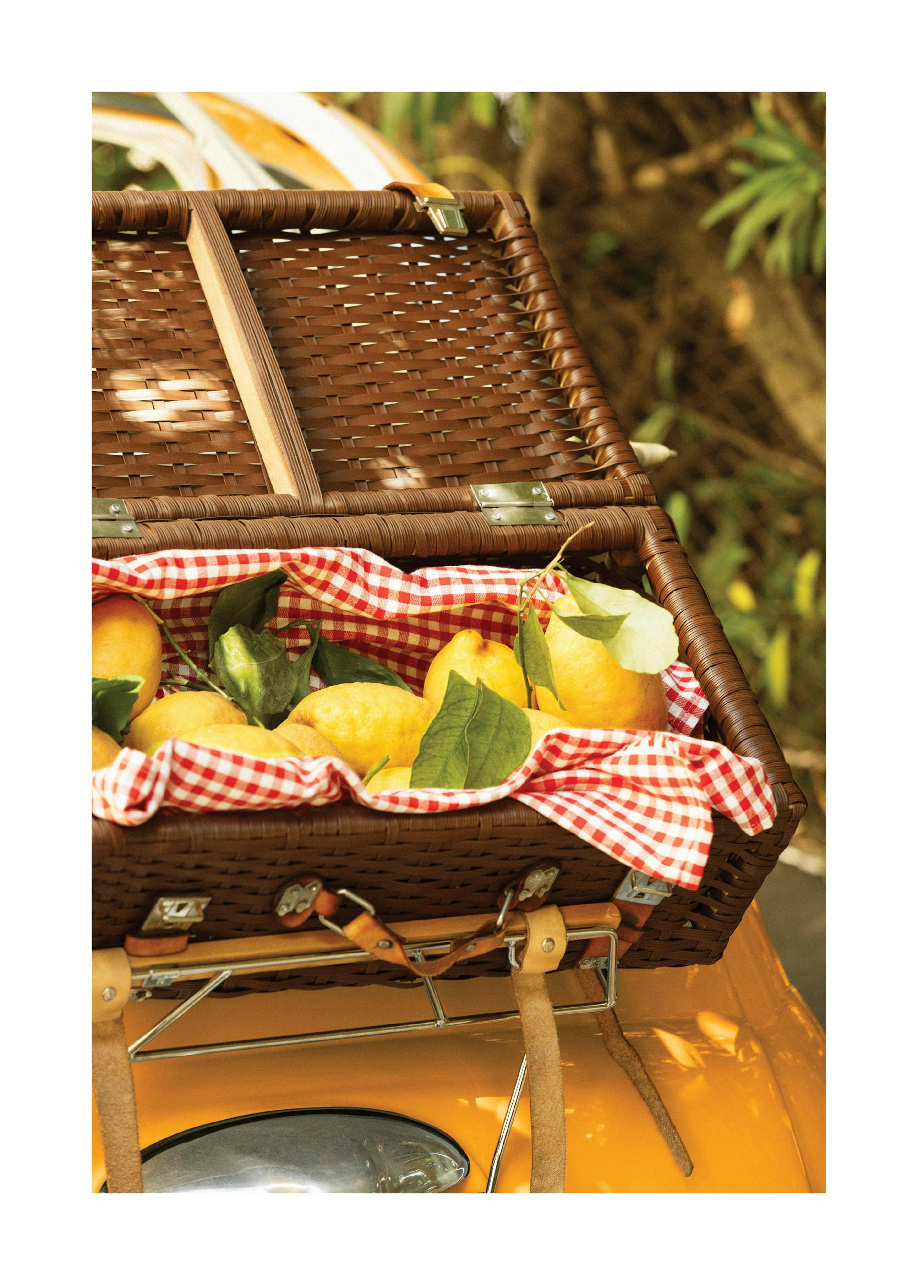 Lemon Delivery Poster 0