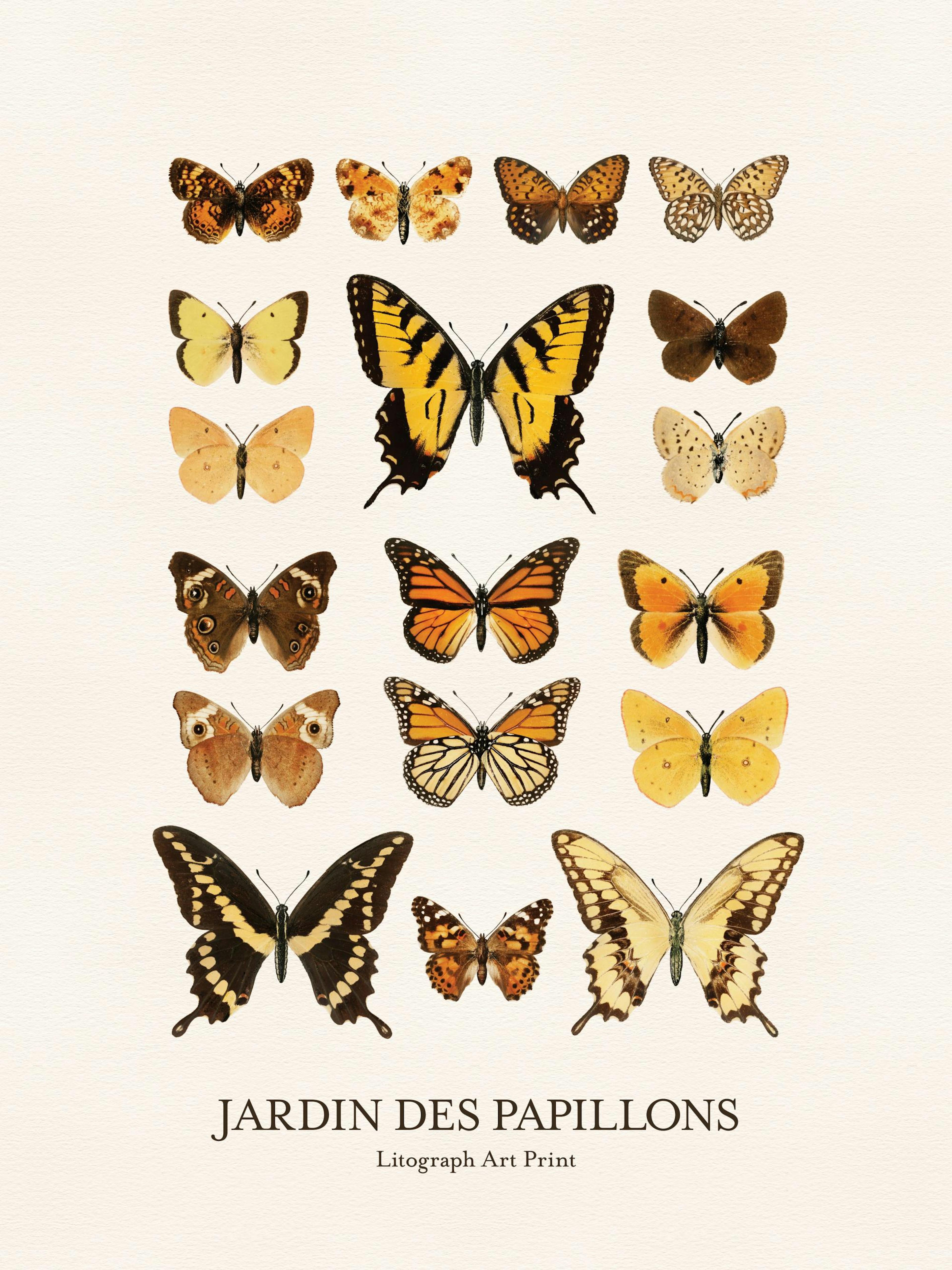Jardin des Papillons Affiche Affiche 0