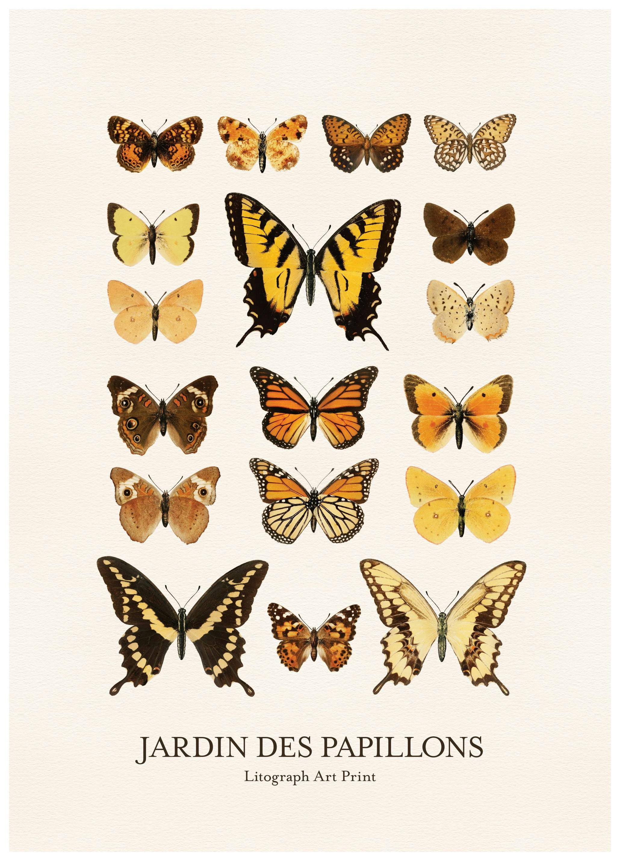Prints Jardin des Papillons Poster (50x70 cm) - Poster Store