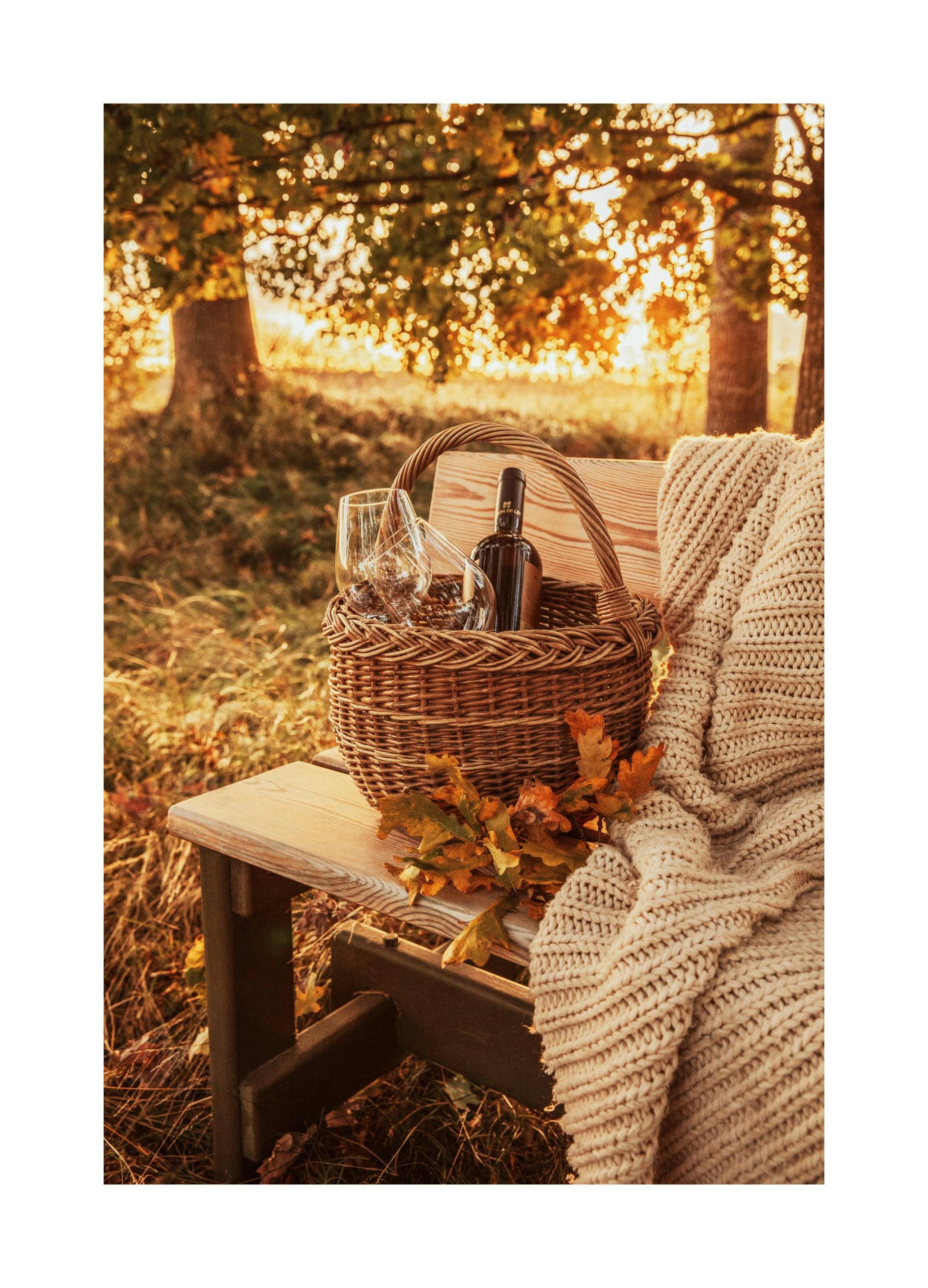 Gezellige Picknick Poster (50x70 cm) - Poster Store