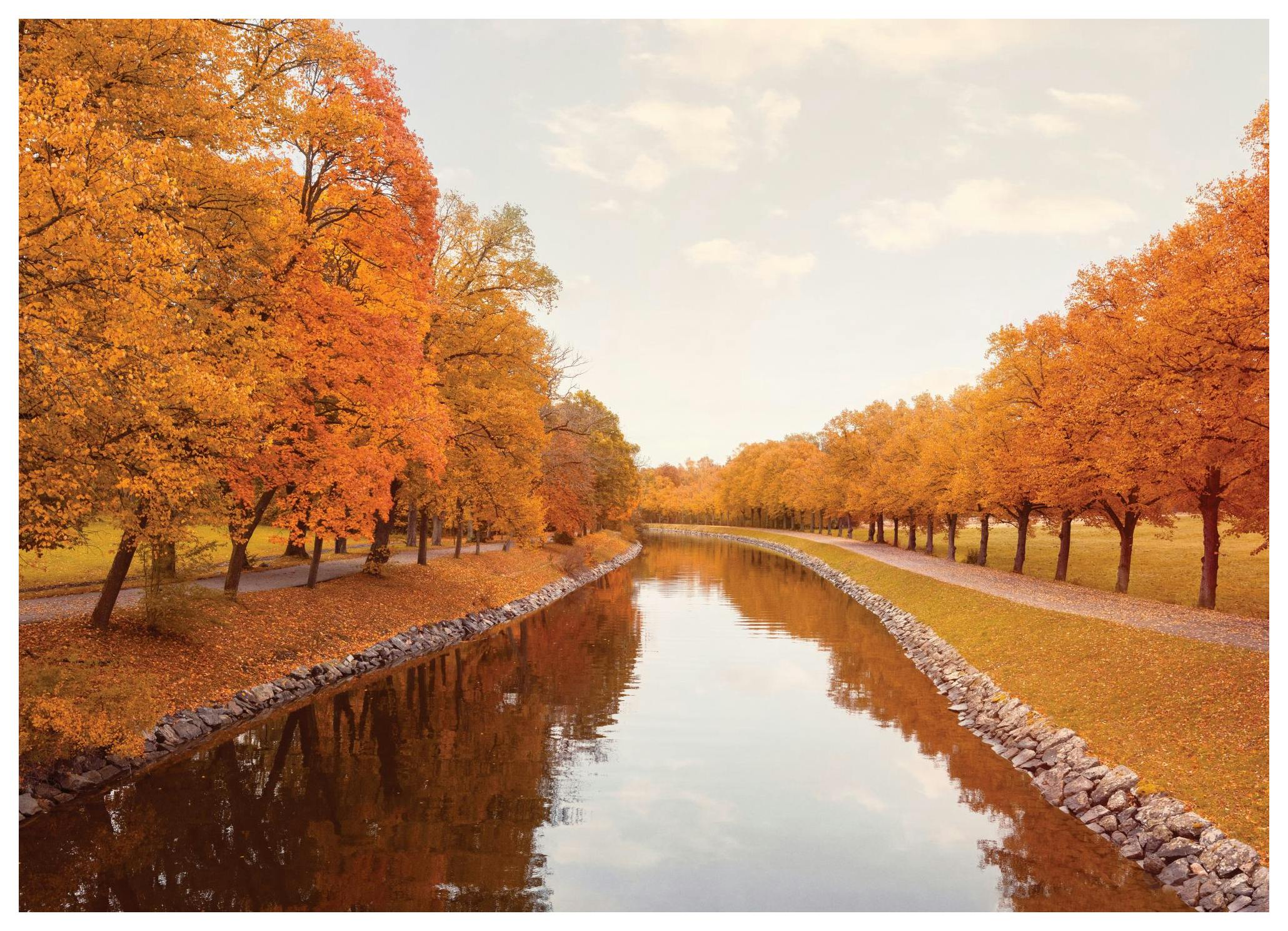 Langs het Kanaal Poster (50x70 cm) - Poster Store