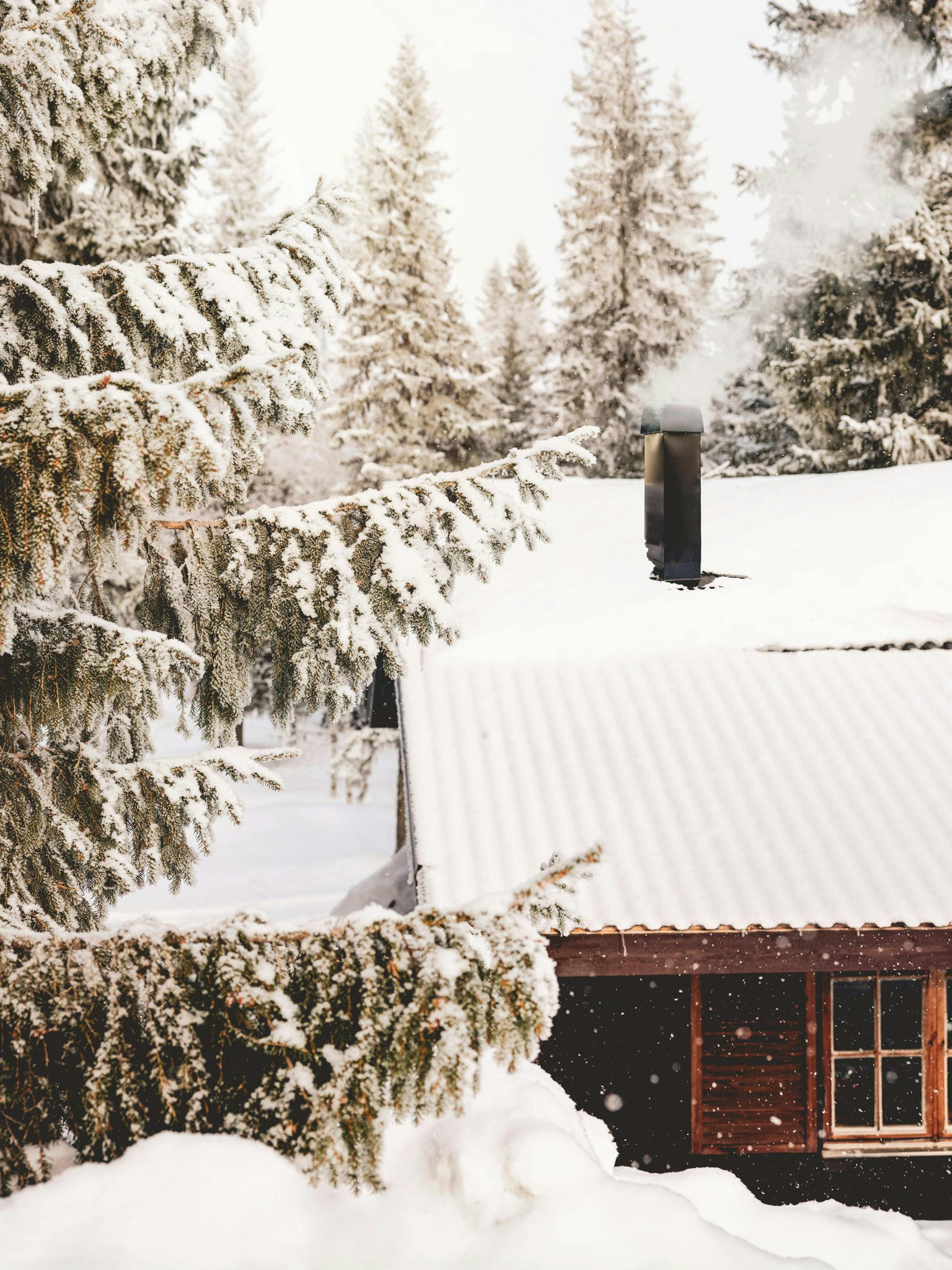 Afternoon Snowfall Poster thumbnail