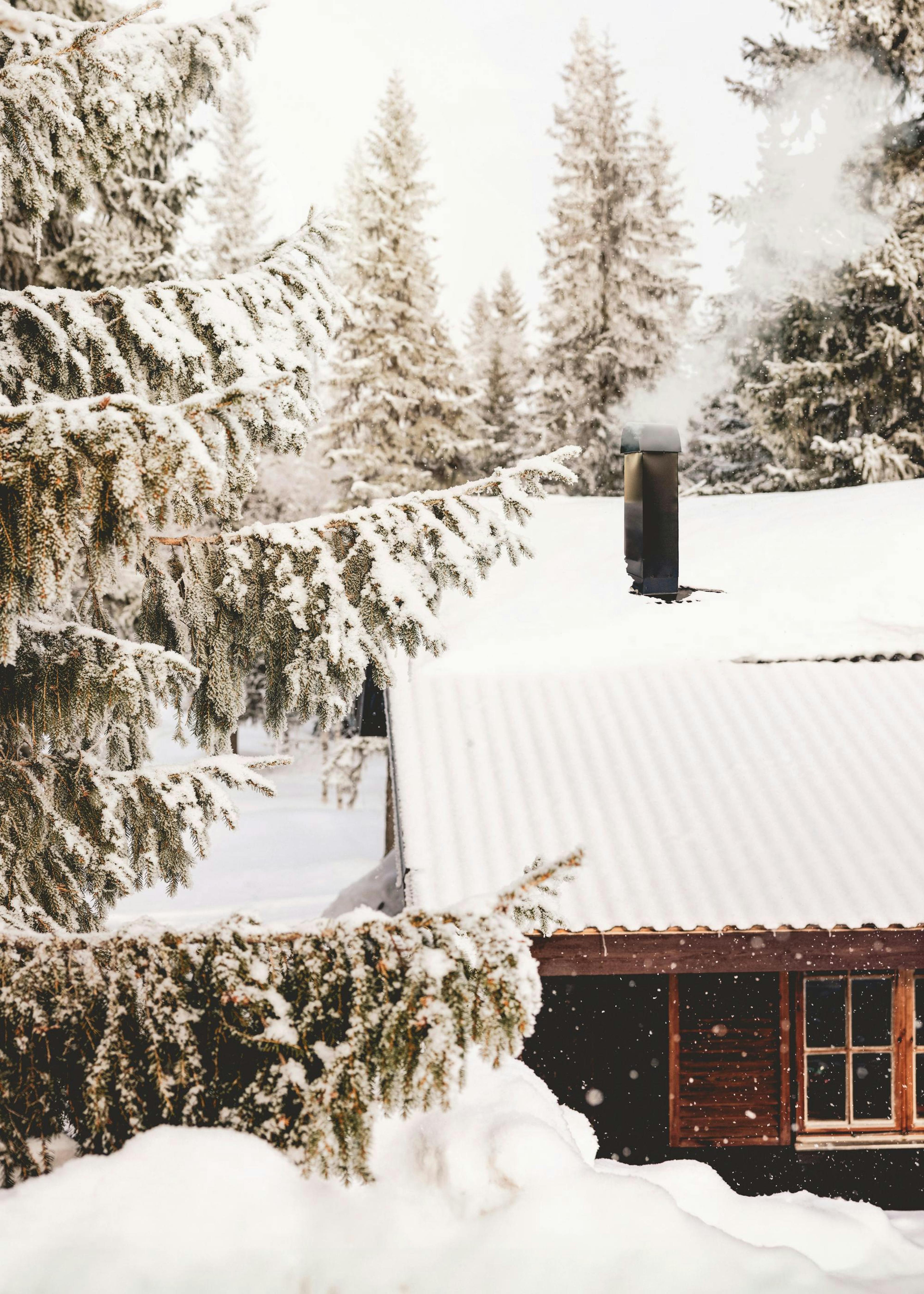 Afternoon Snowfall Poster 0