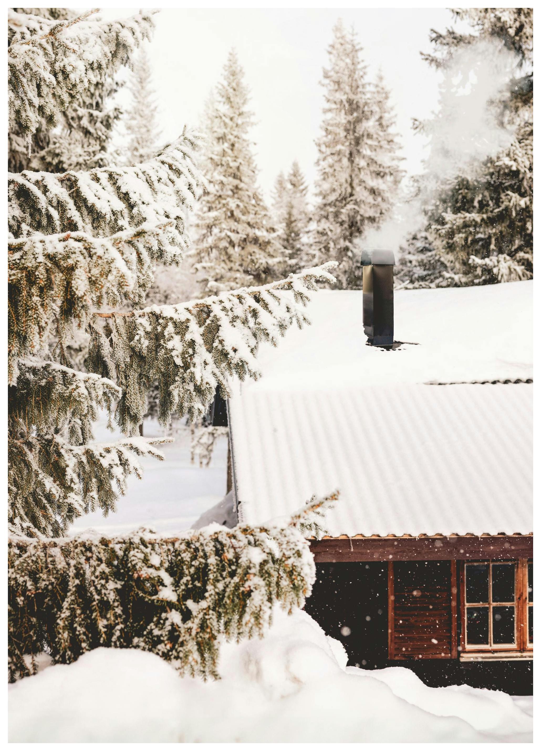 Middag Sneeuwval Poster (50x70 cm) - Poster Store