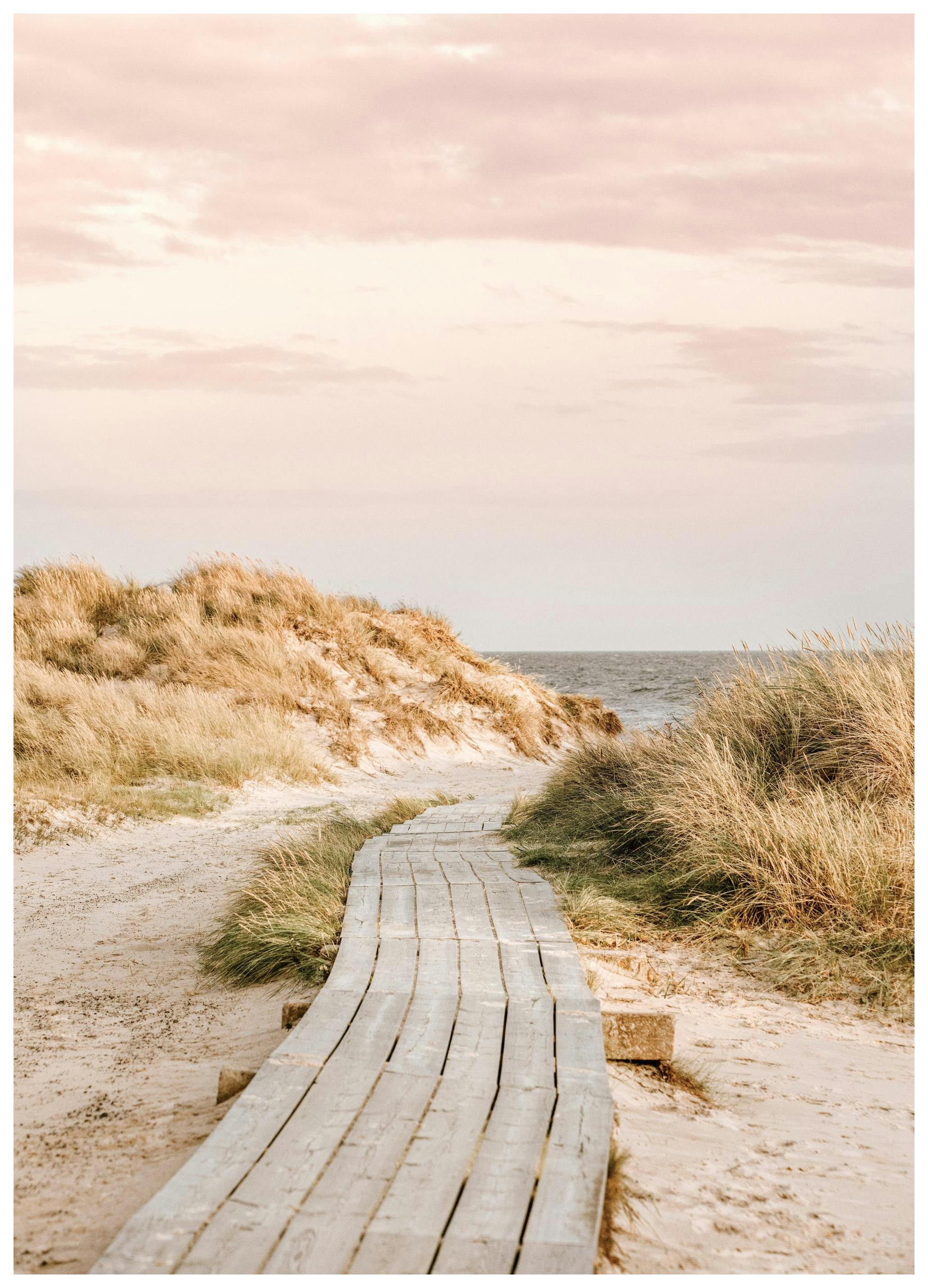 Walk to Sea Poster (50x70 cm) - Poster Store