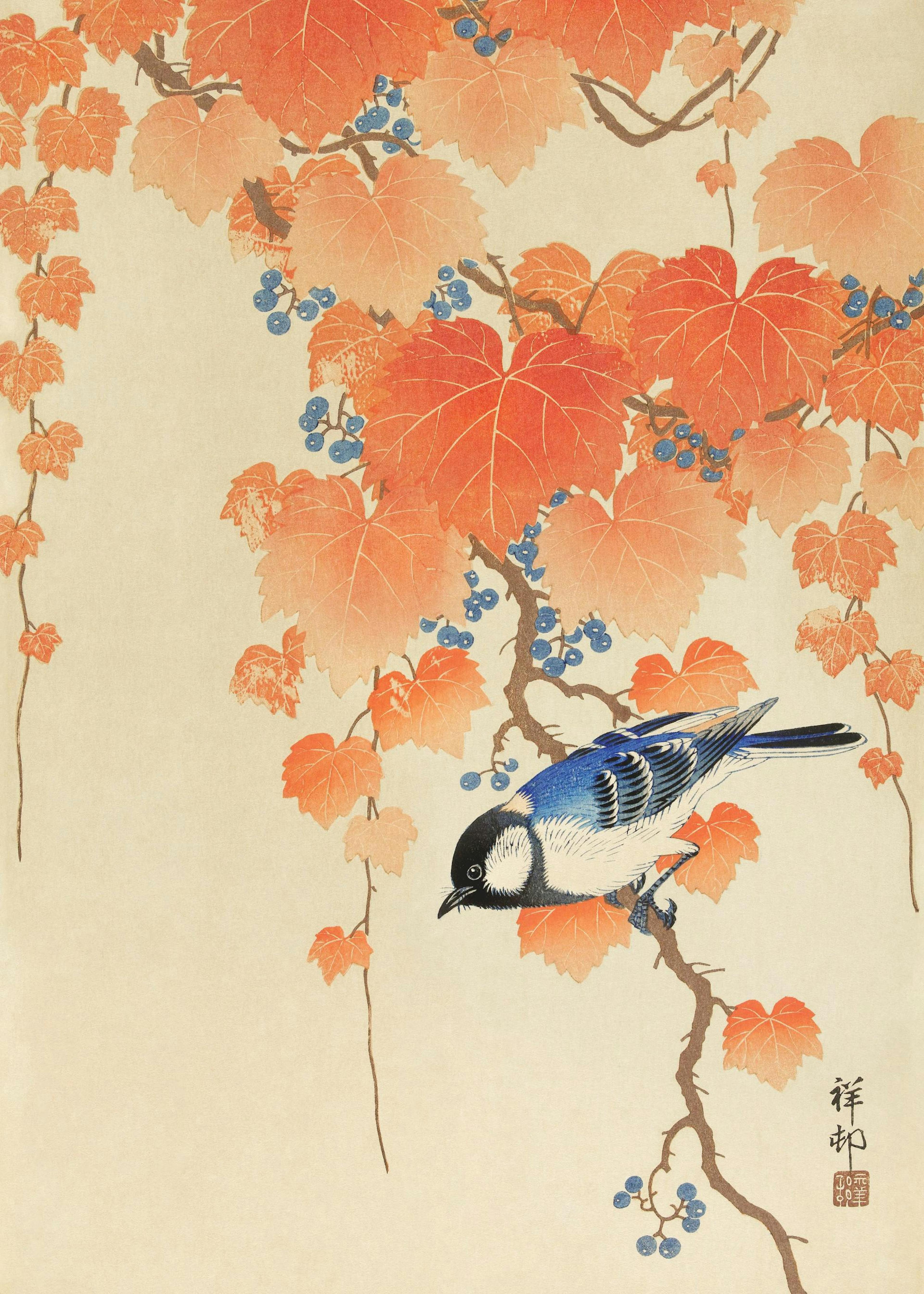 Ohara Koson - Musvit på Paulowniagren Plakat 0