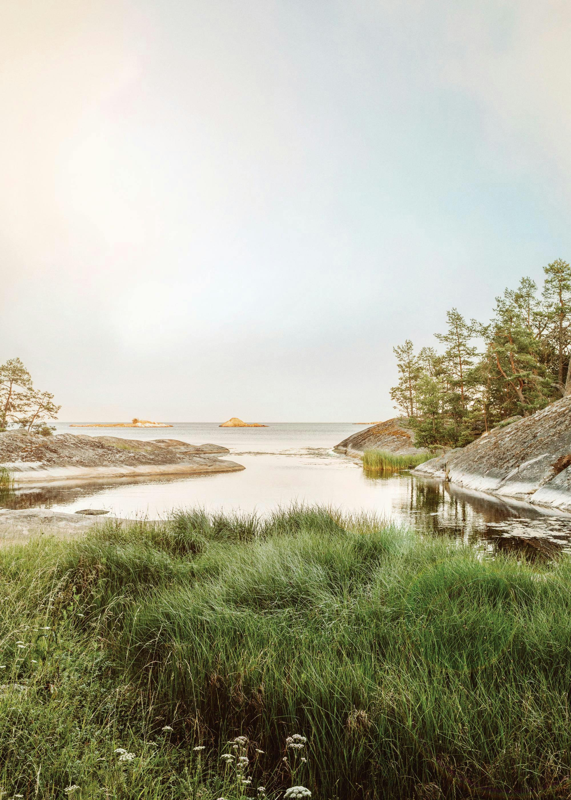 Sunny Morning Lake Poster 0