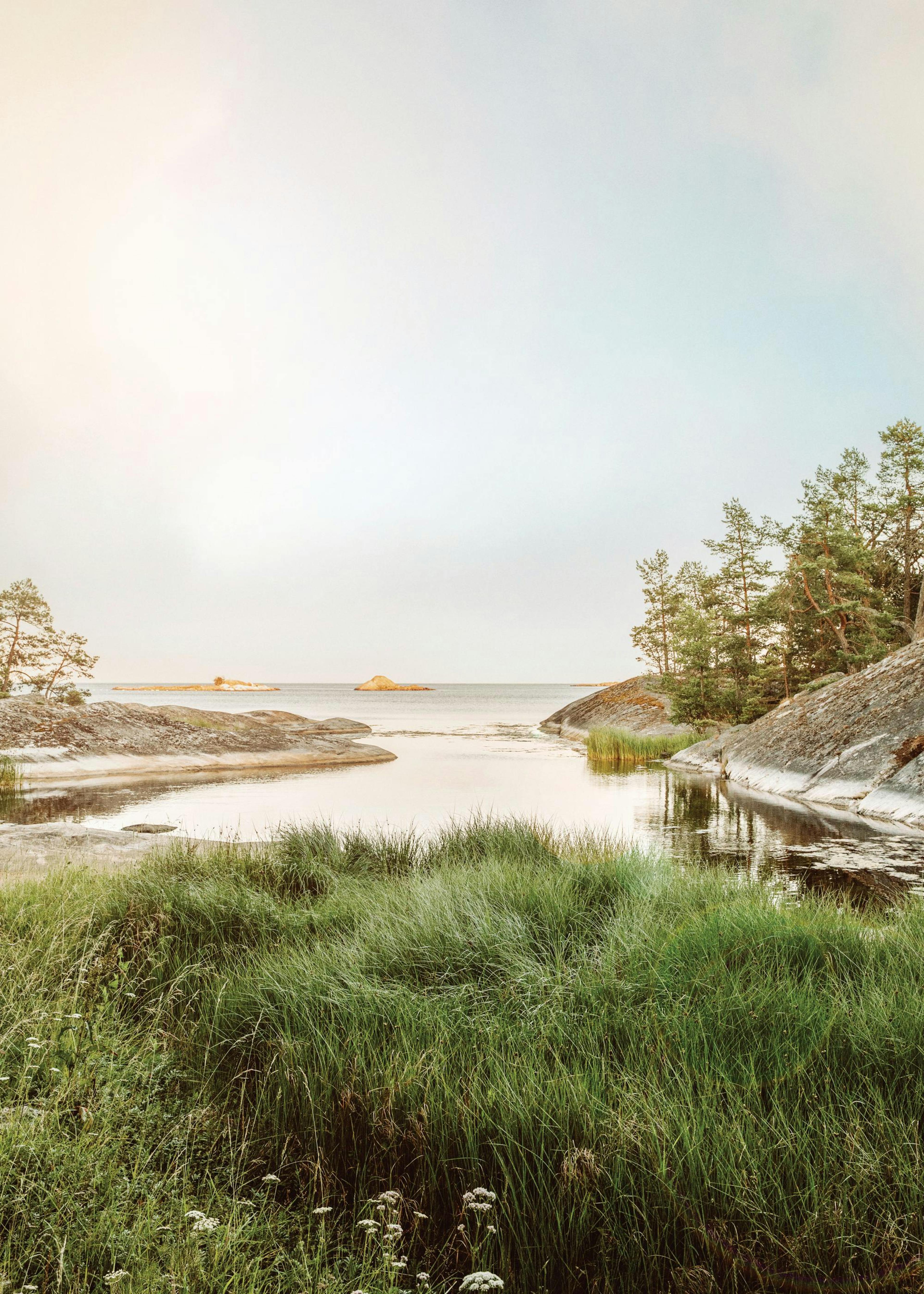 Sunny Morning Lake Poster 0