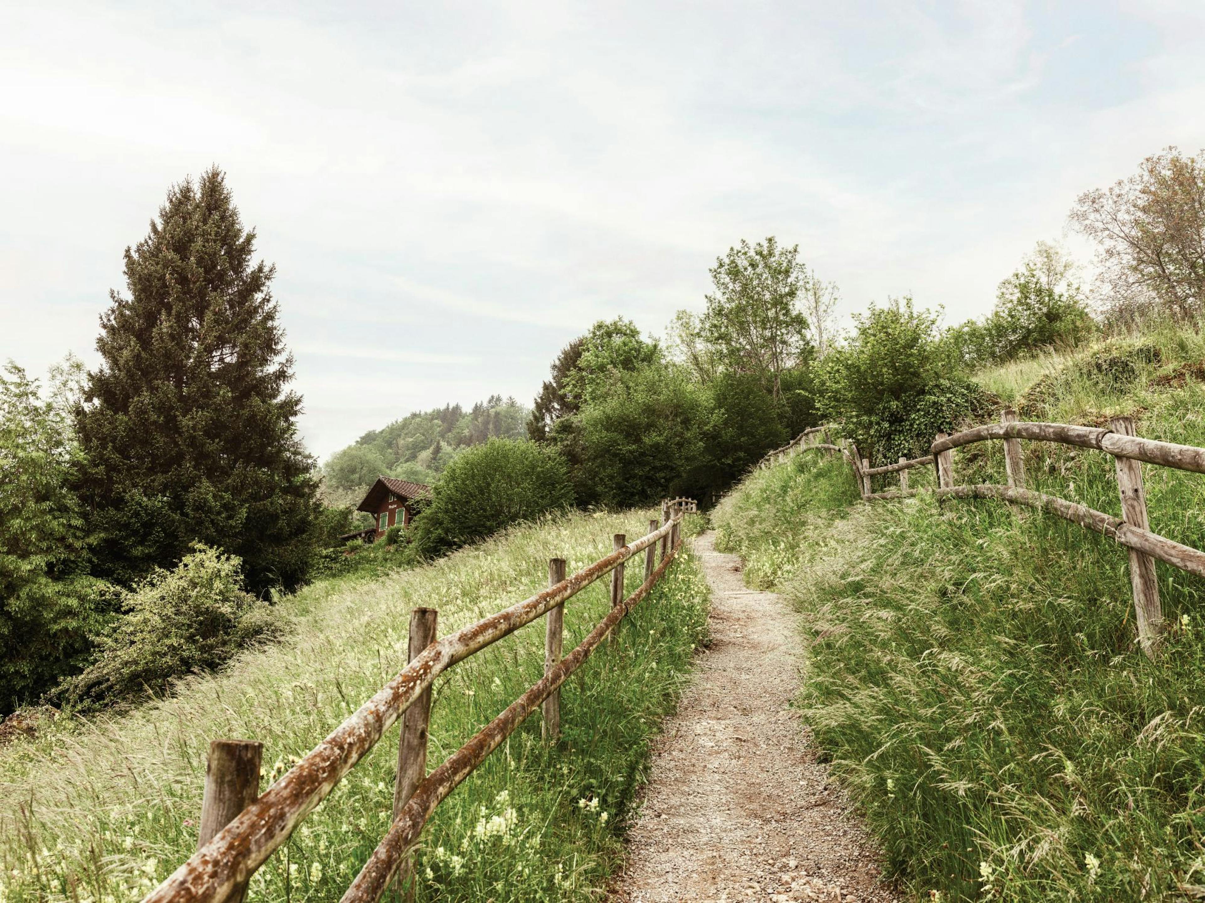 Path through the Hills Poster thumbnail